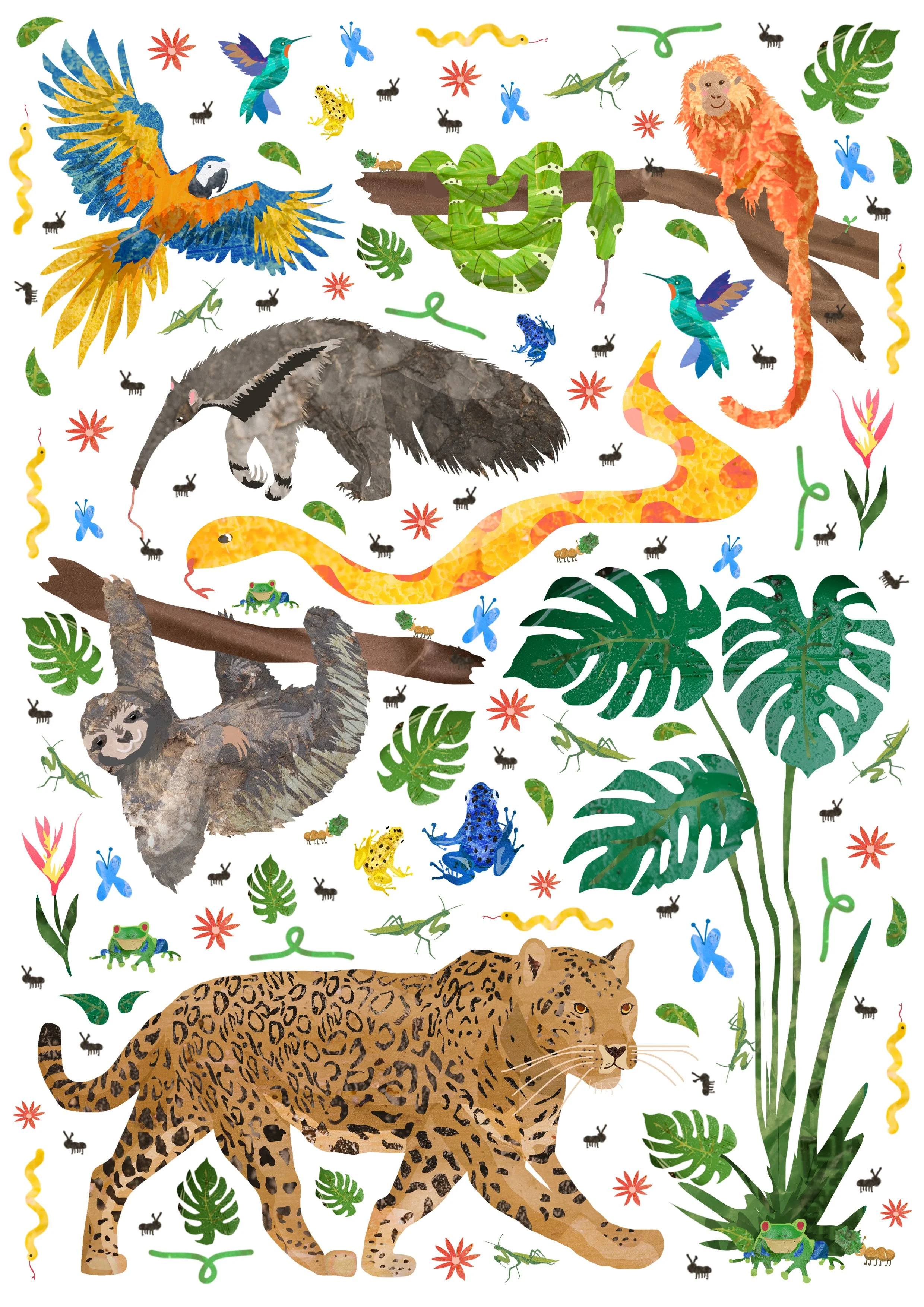 amazon rainforest.jpg