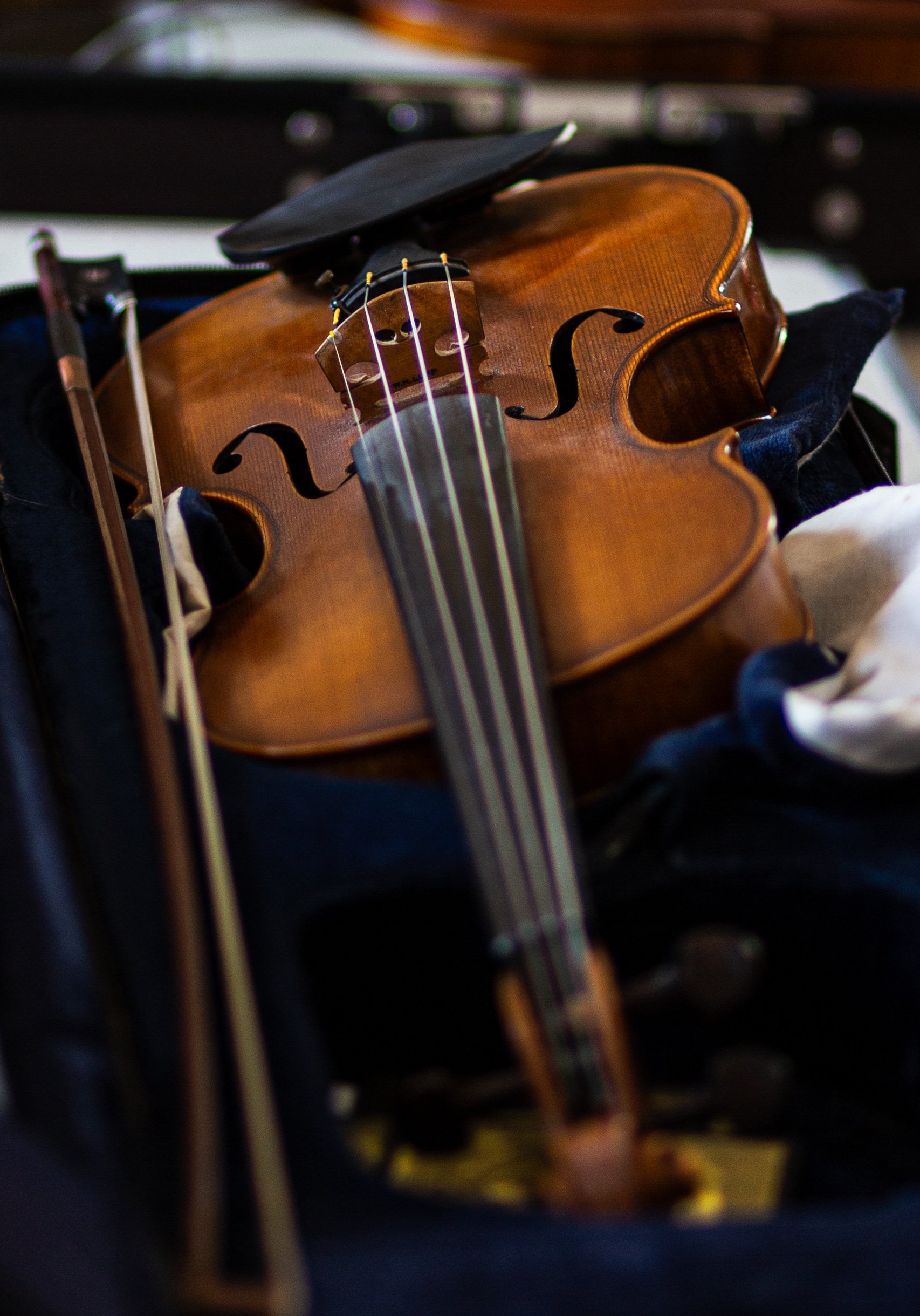 Violin.jpg