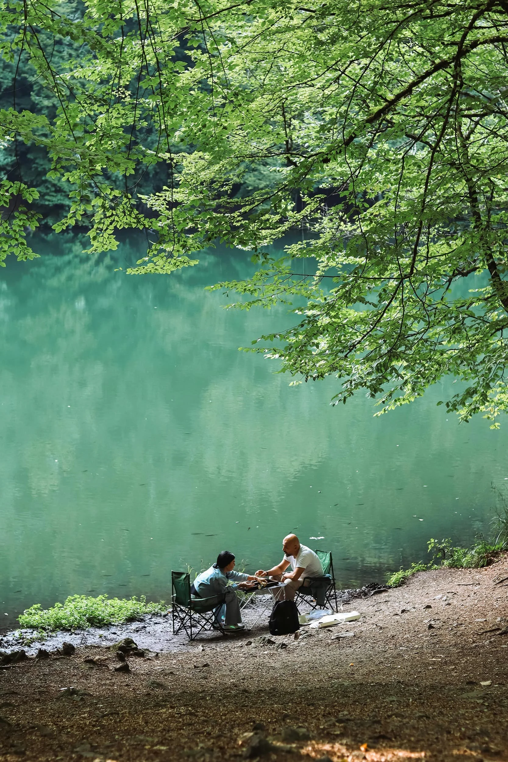 Where digital intelligence meets real-world wisdom