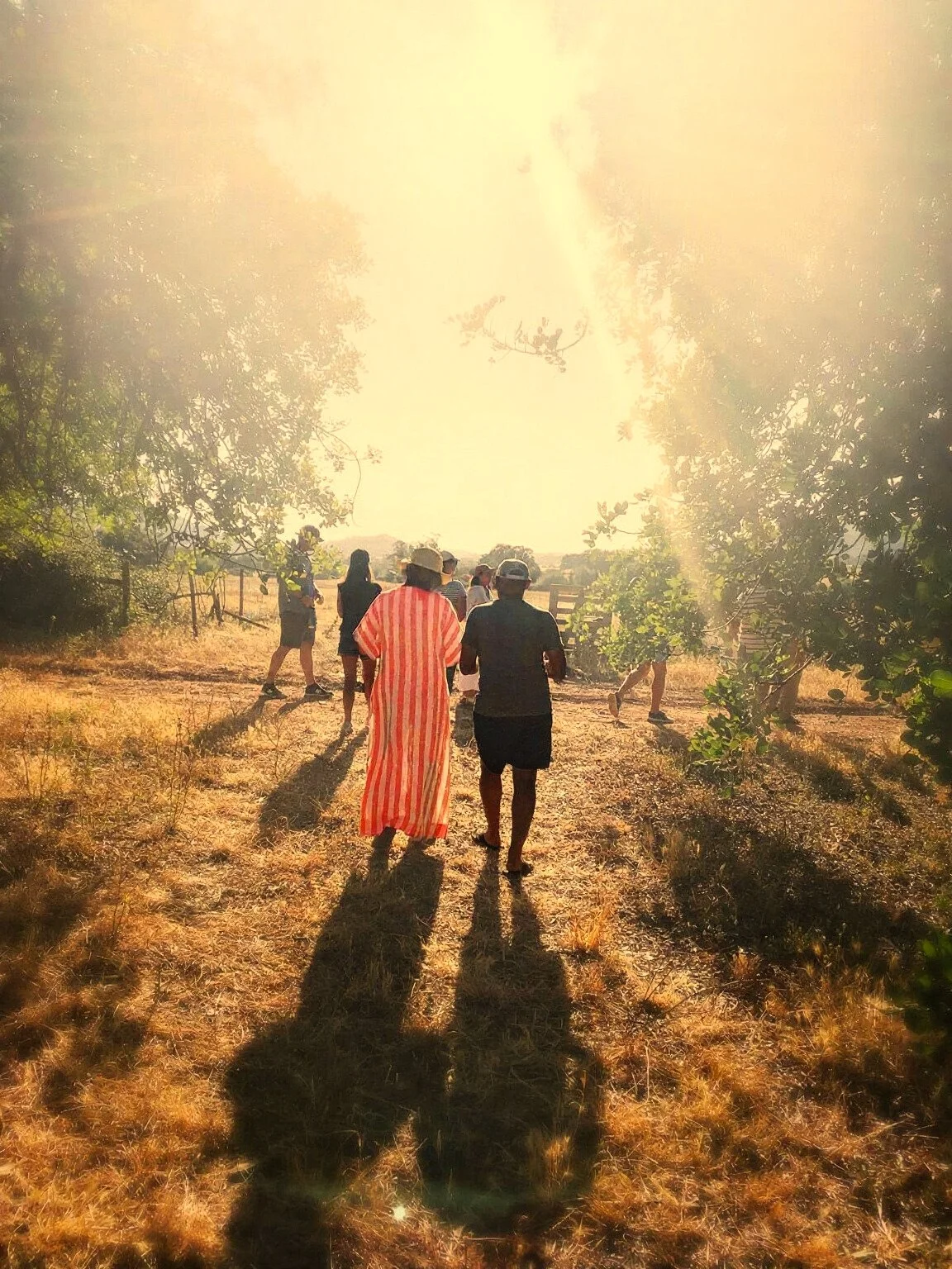 sunset retreat.jpg