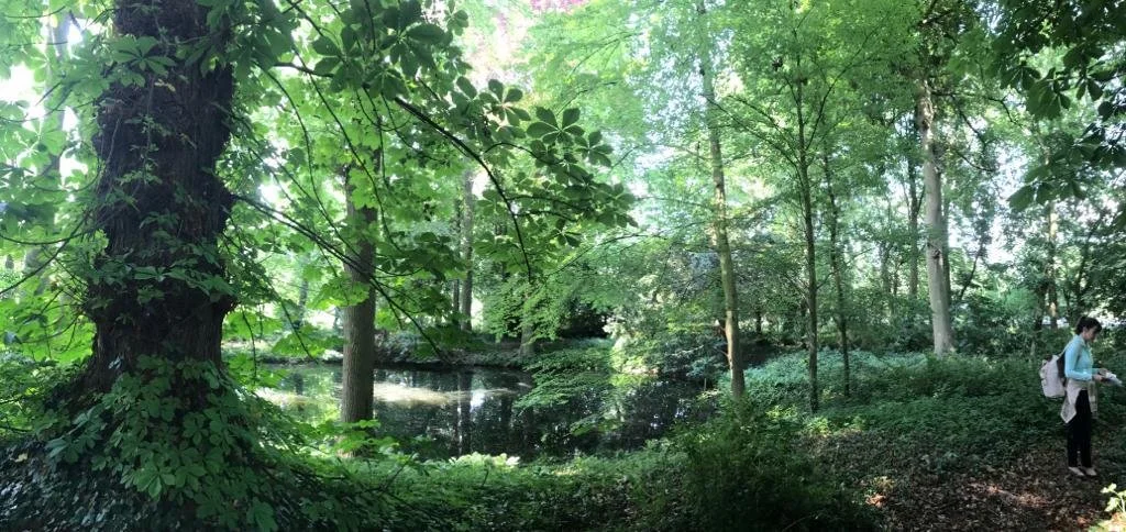 From wisdom to strategic action