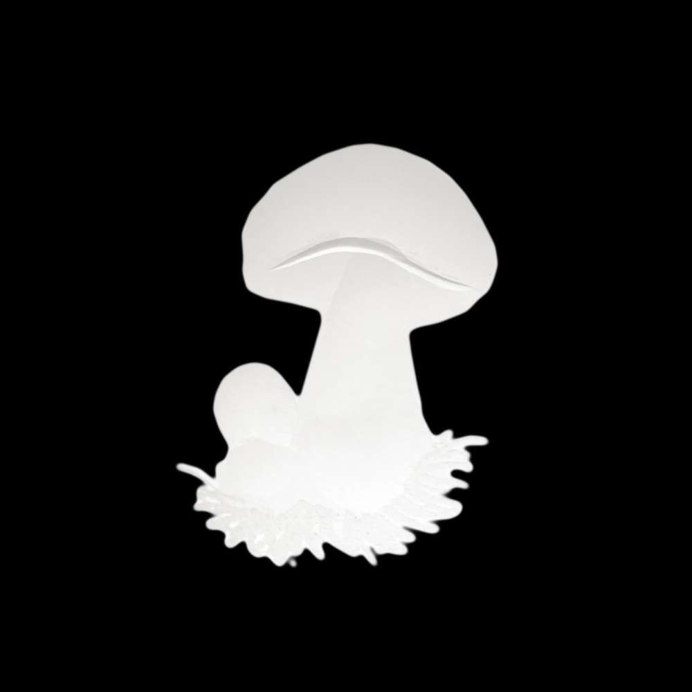 12.png