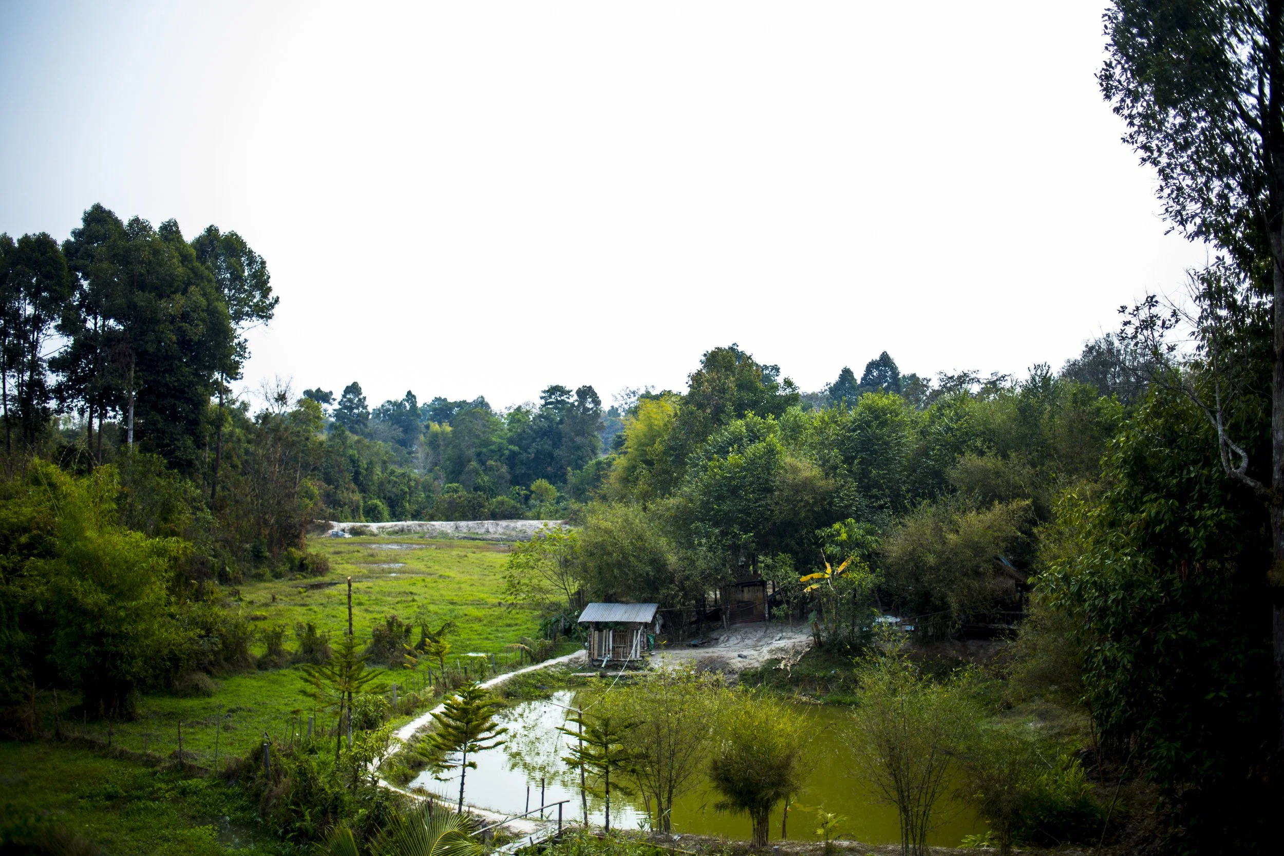 commercial-non-profit-photographer-Austin15.jpg