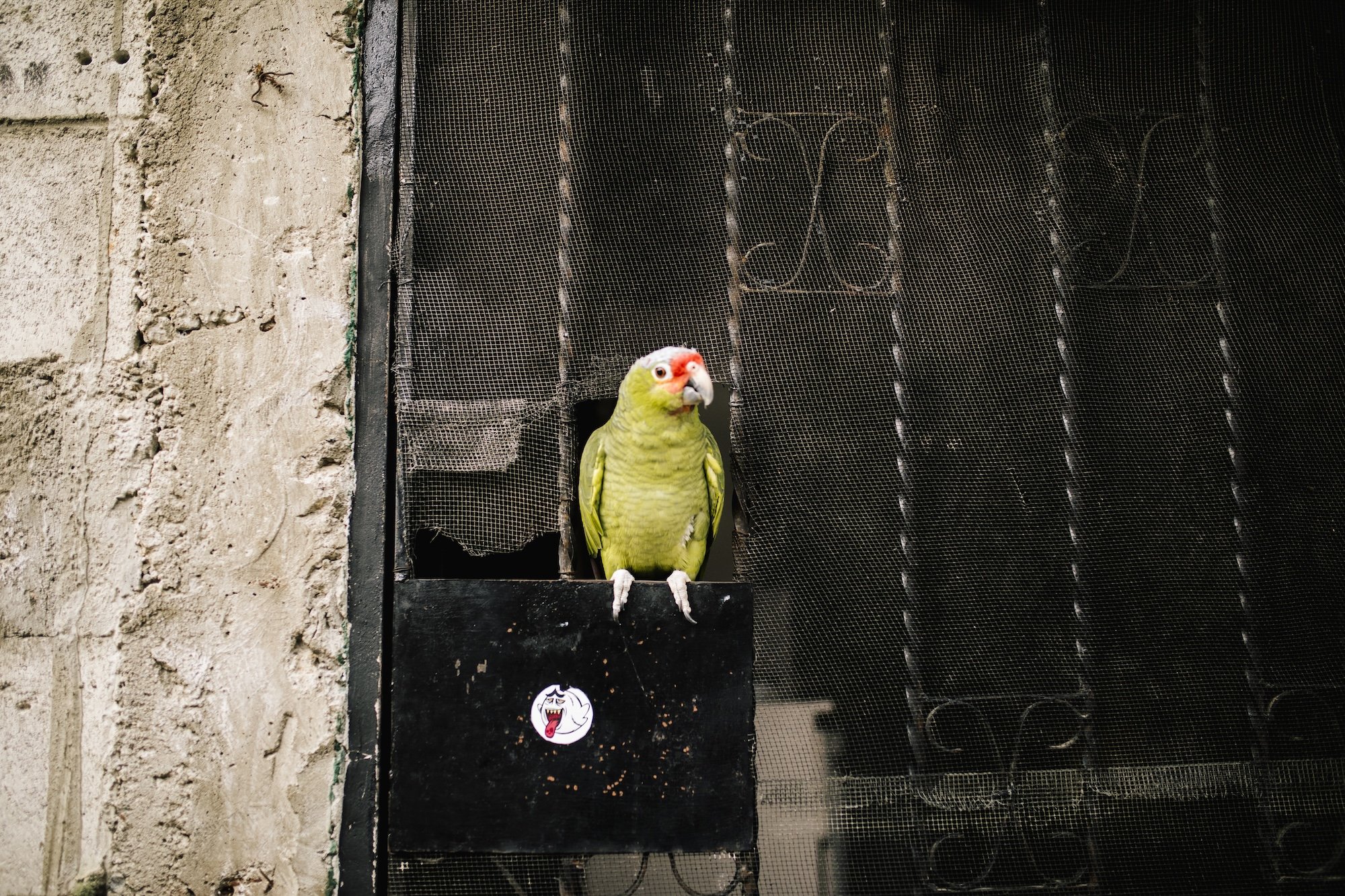 commercial-humanitarian-photographer-Austin2.jpg
