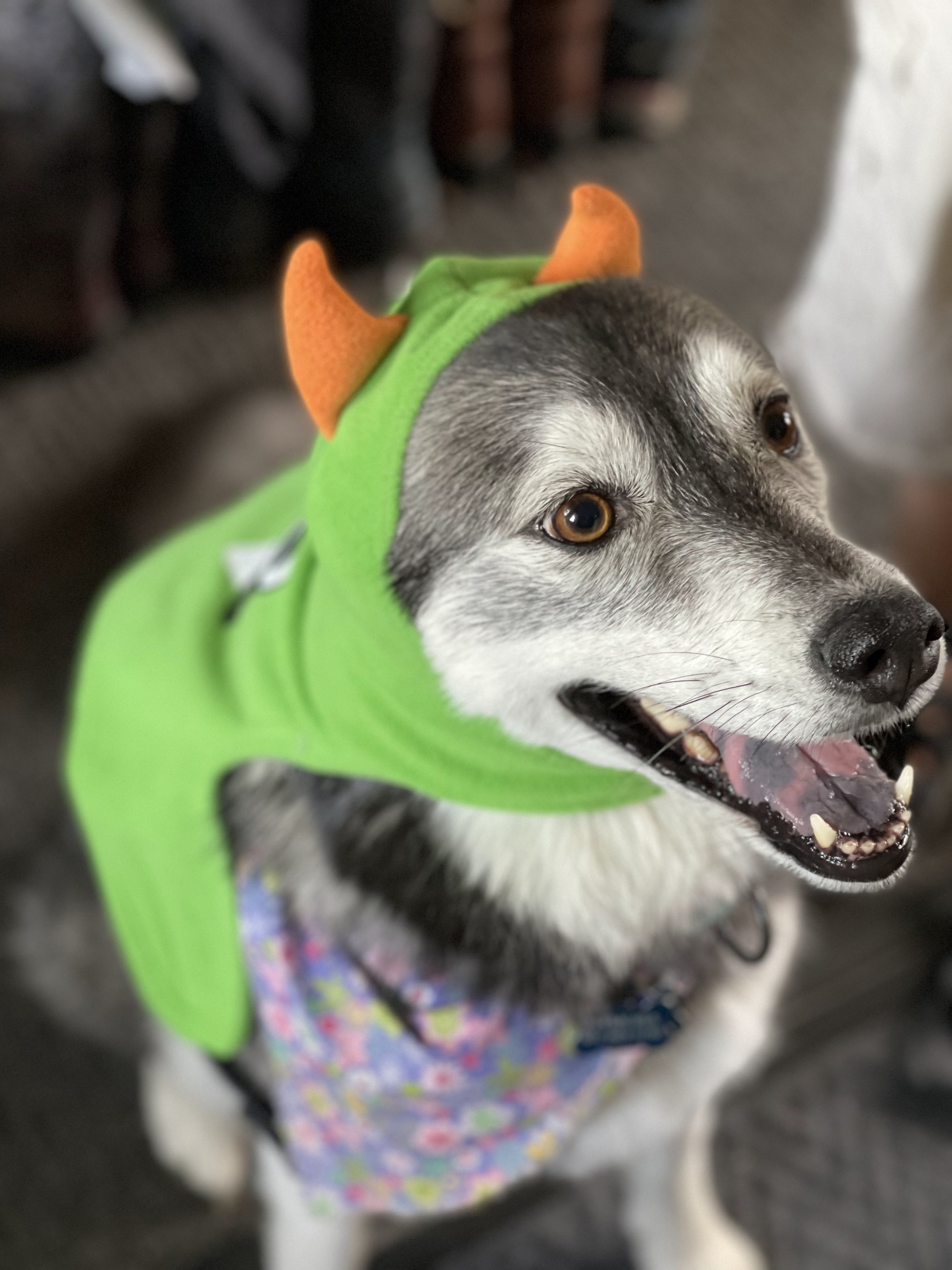 Mira wears Gem's Monster hoodie.