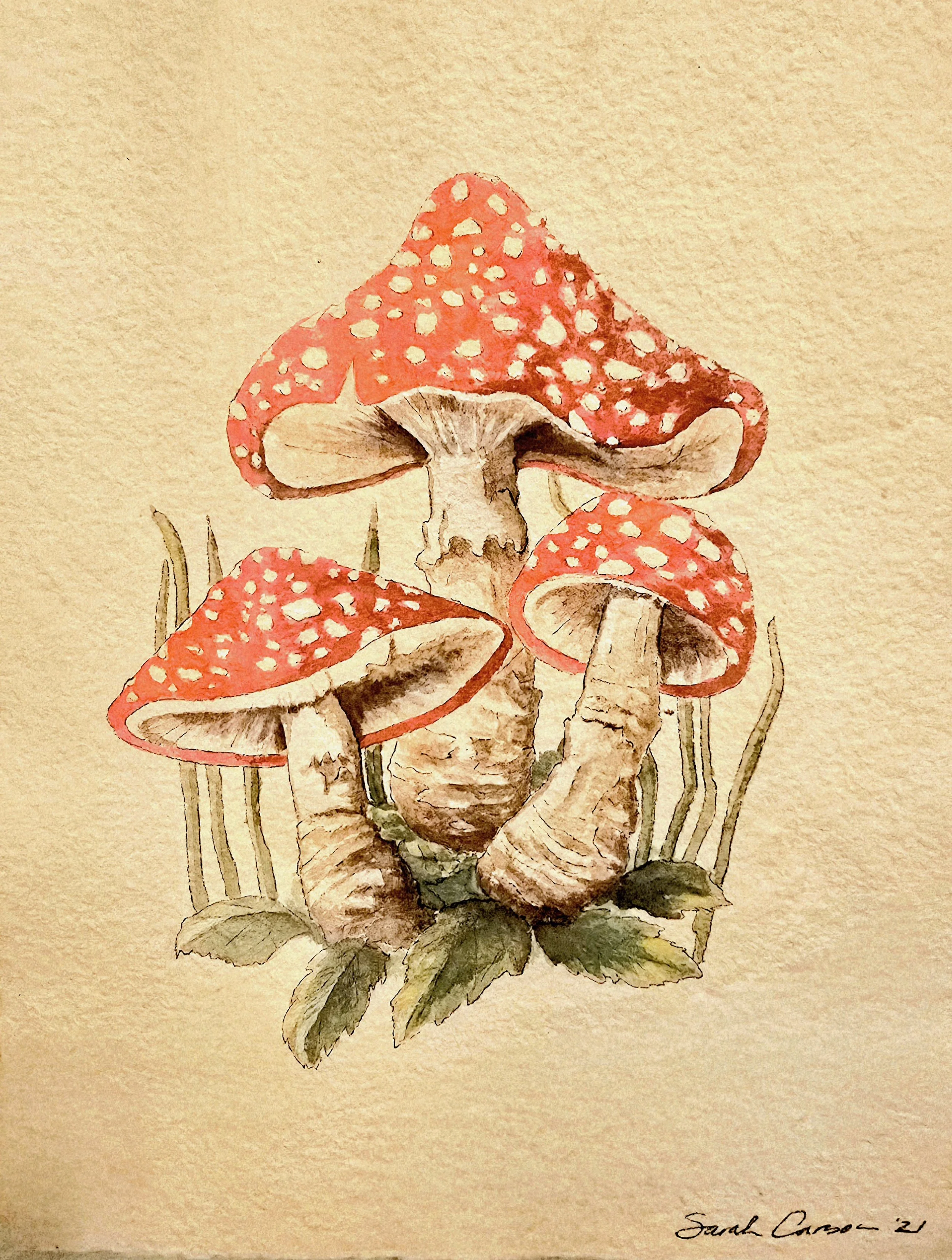 Watercolor painting of three red mushrooms with white spots, surrounded by green leaves and grass, with a beige background.