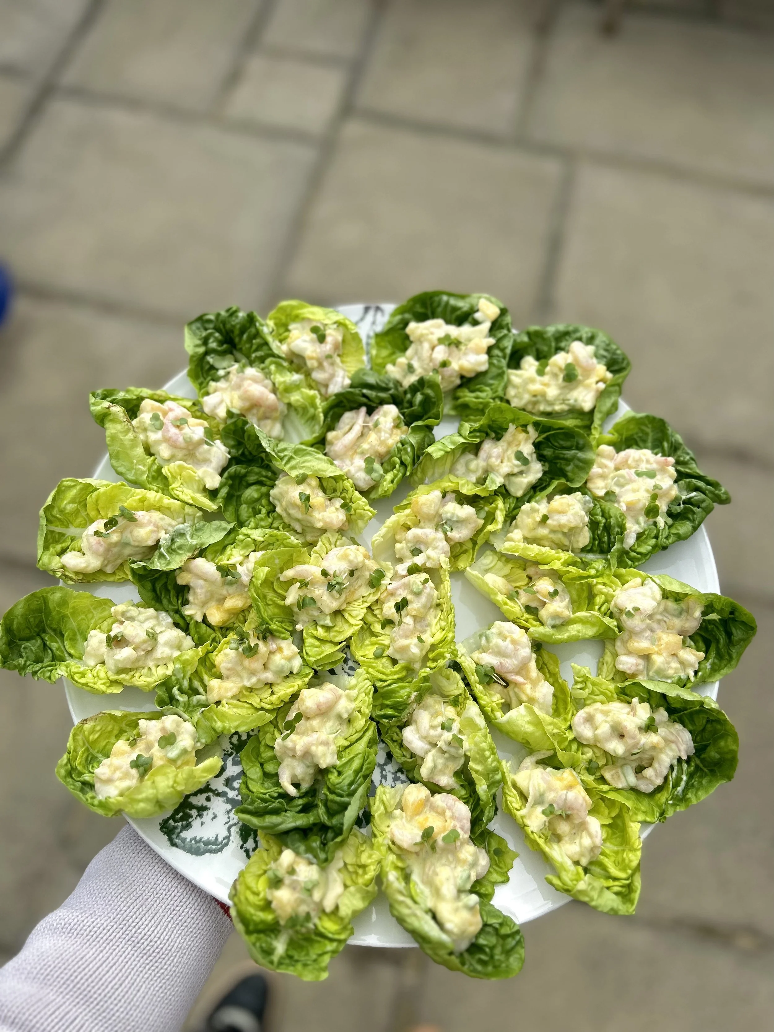 Lettuce leaves topped with a creamy chicken salad garnished with small herbs served on a white plate.