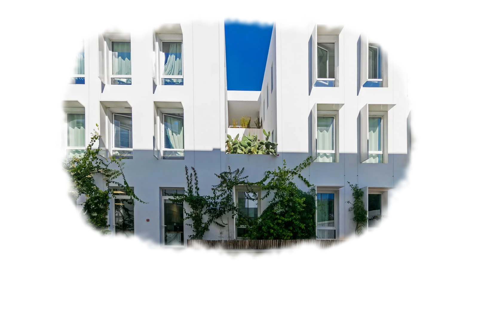 White building with deep window frames and climbing plants above wide steps