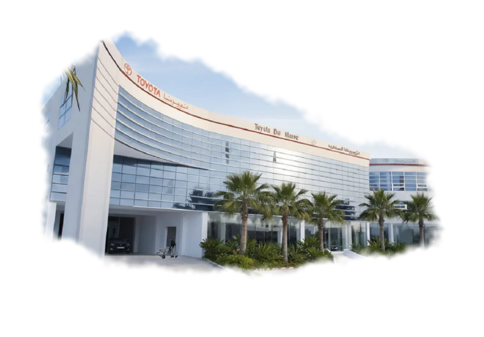 Toyota du Maroc showroom with a curved glass facade and palm trees