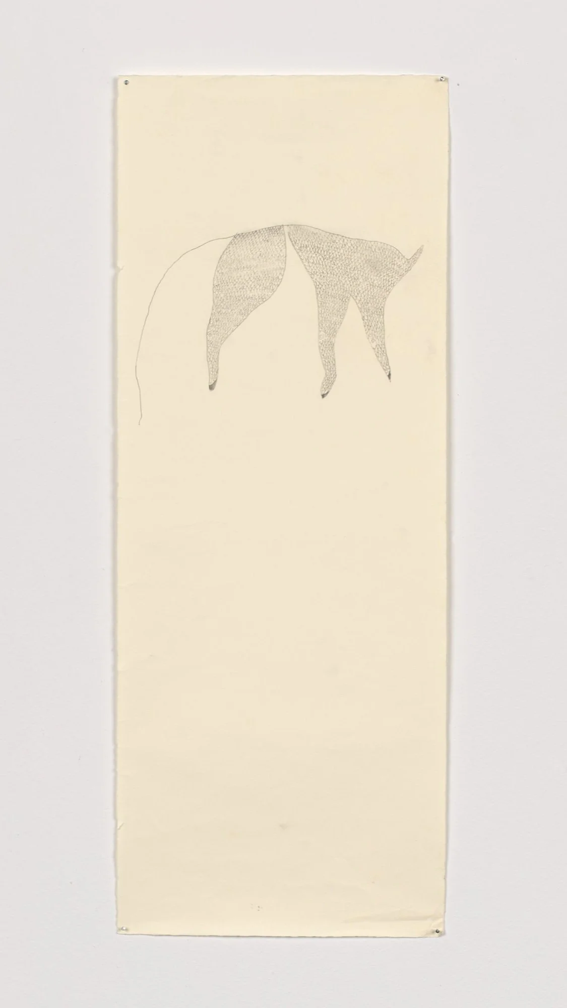 Theory of Evolution, 2023, graphite on paper, 26 x 10 in.