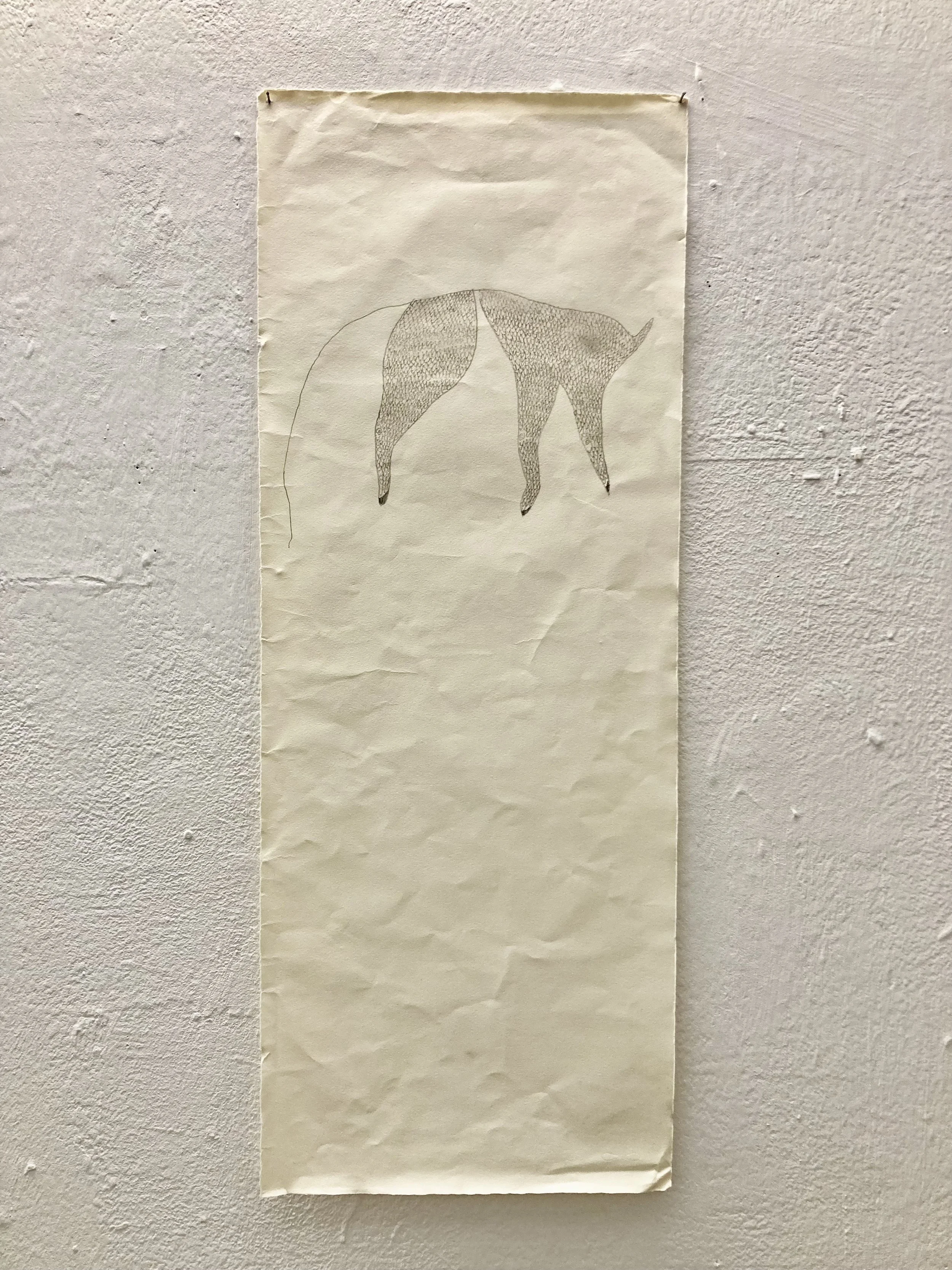 Theory of Evolution, 2023, graphite on paper, 26 x 10 in.