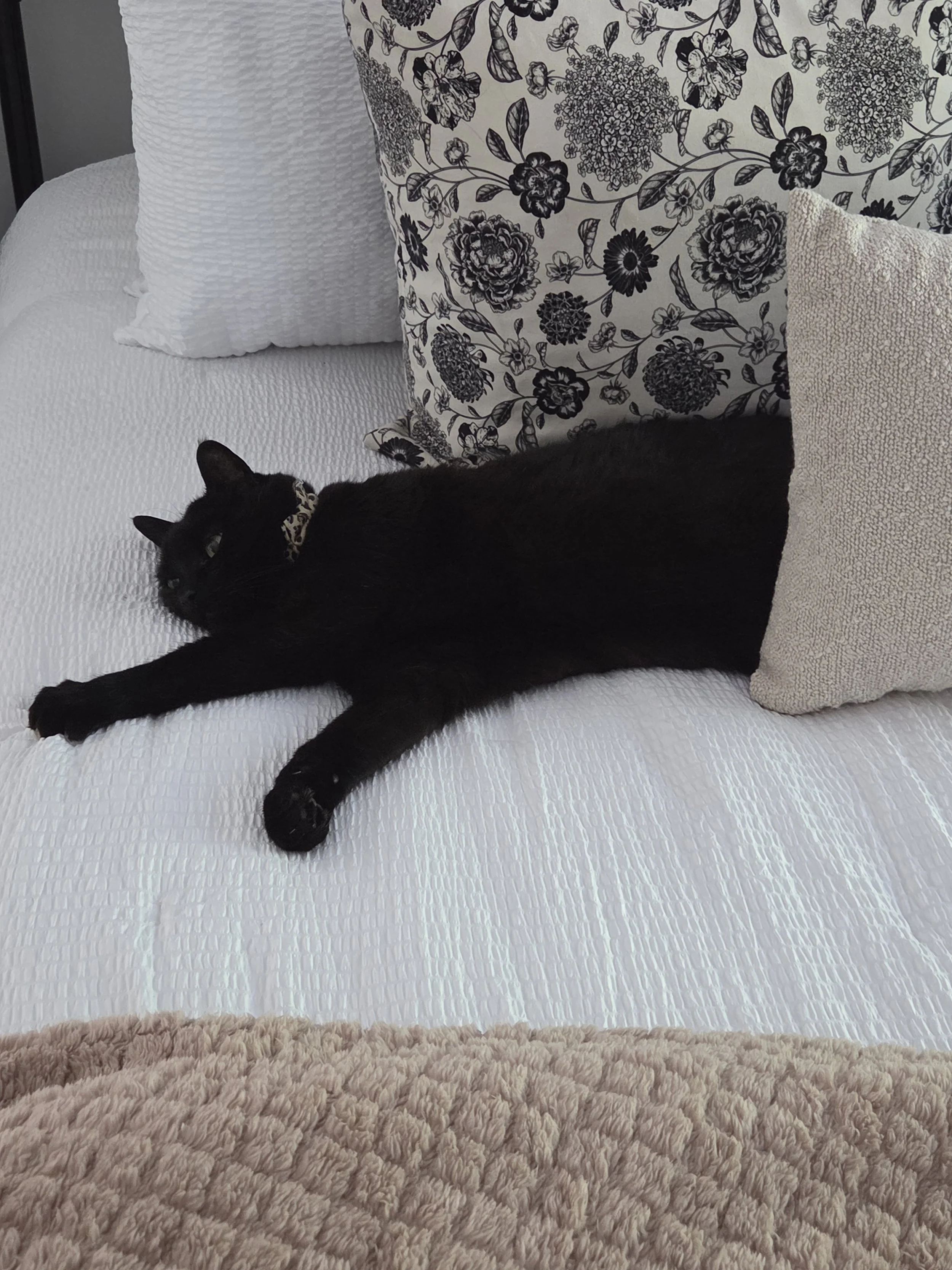 Why Rest Feels So Hard: The Connection Between Anxiety, Productivity, and Self-Worth