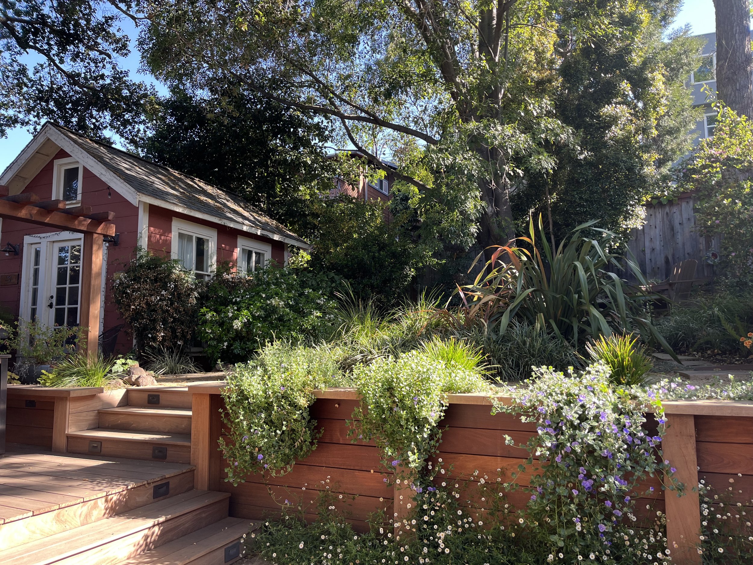 Wall and Steps to Garden.jpg