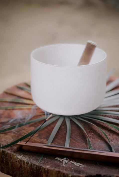 Screenshot 2026-02-22 at 7.34.59 PM.png