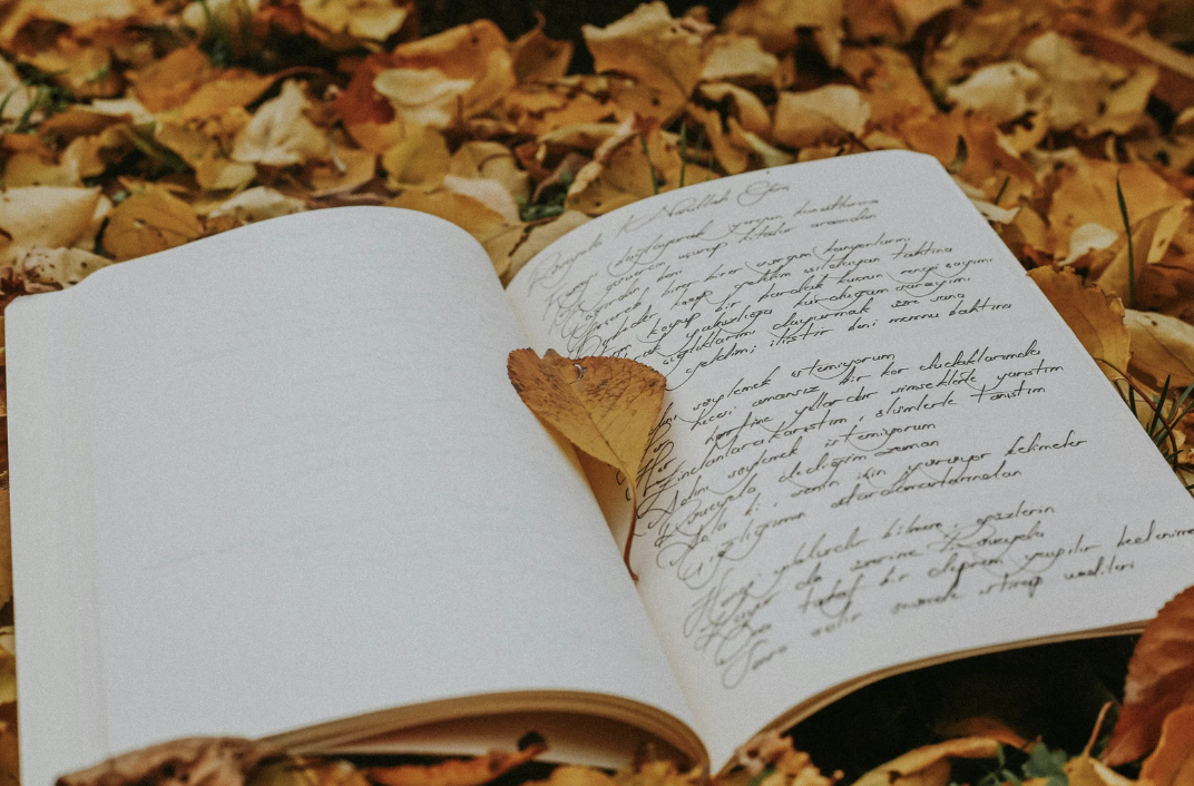 Screenshot 2026-02-22 at 7.50.29 PM.png