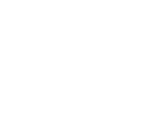 Logo - Goose Island.png