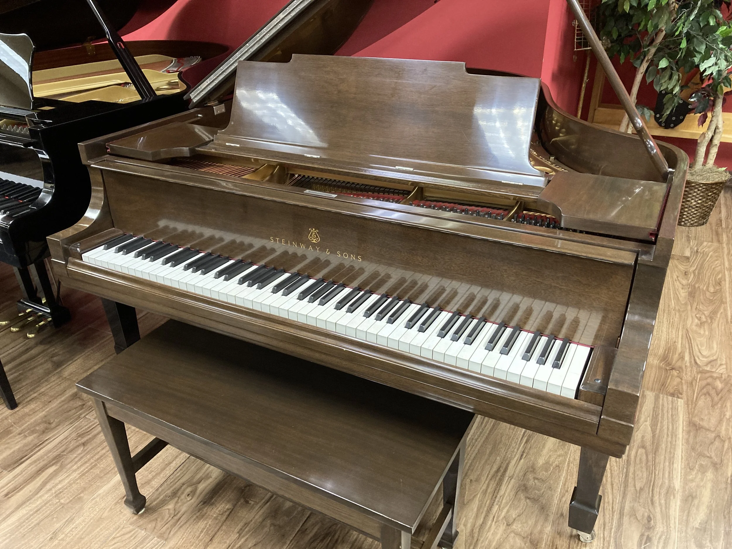 Steinway Baby Grand, model M, 5’7” completely rebuilt and refinished!