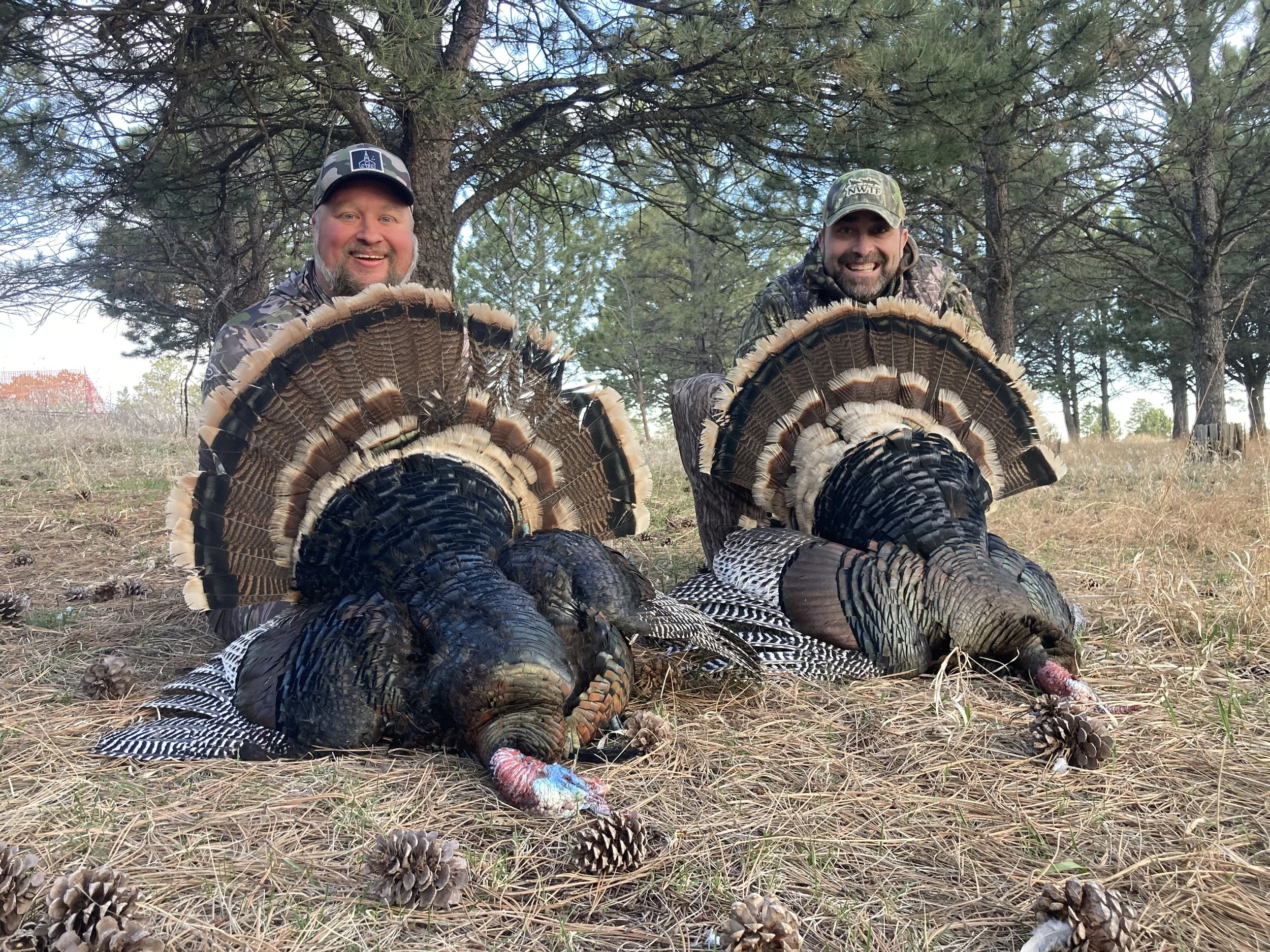 Merriam Turkey — Oldaker Outfitting