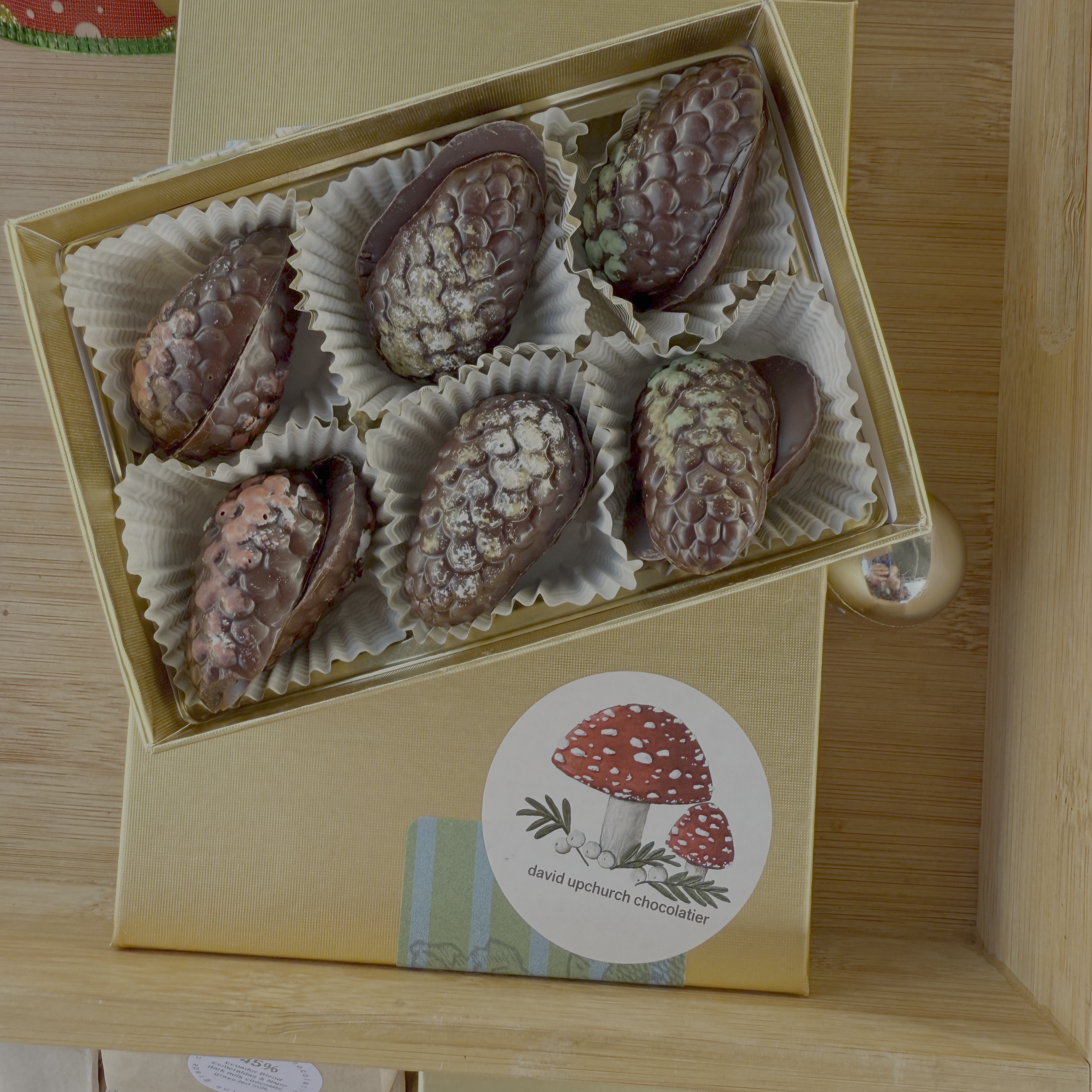 winter 2025-pinecone 1.png