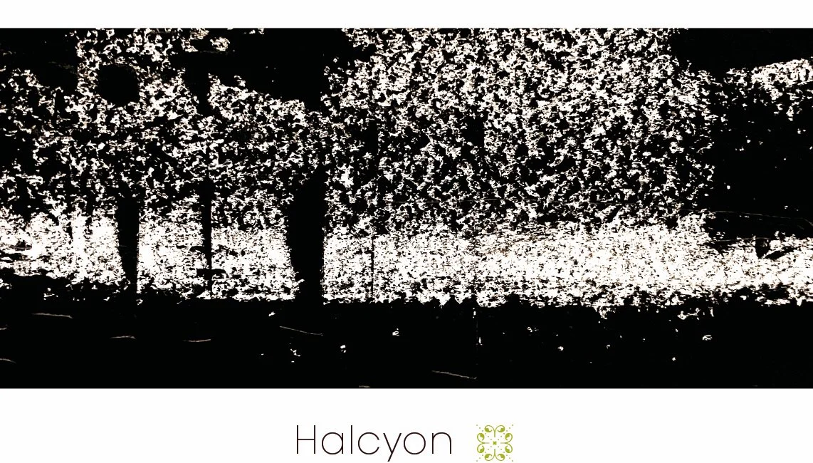 Whale Song Washington Chardonnay Wine Halcyon Label