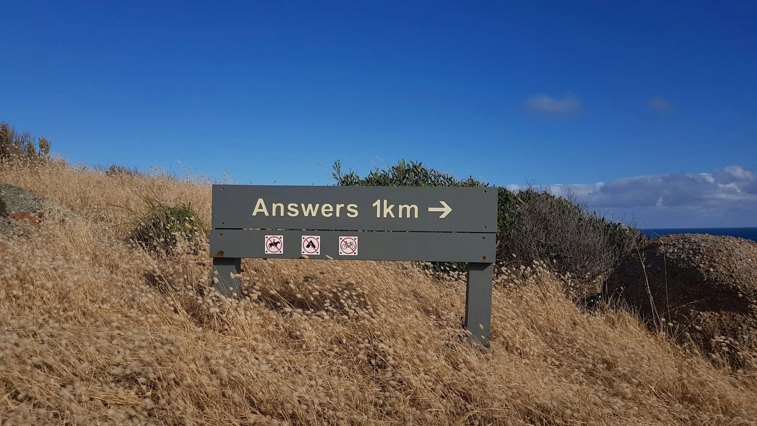 Pre-thinking Data