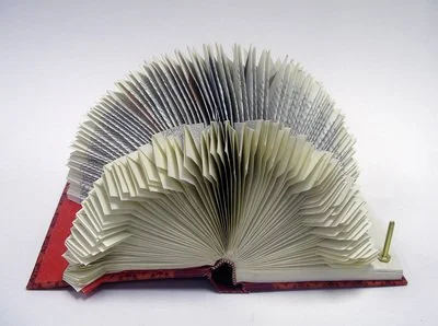 Rescued old book with pages folded creating an abstract repeating pattern.