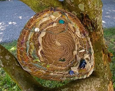 A woven pine needle disc attached to a tree trunk with various small objects inside, including a blue marble, a seashell, and a small toy.