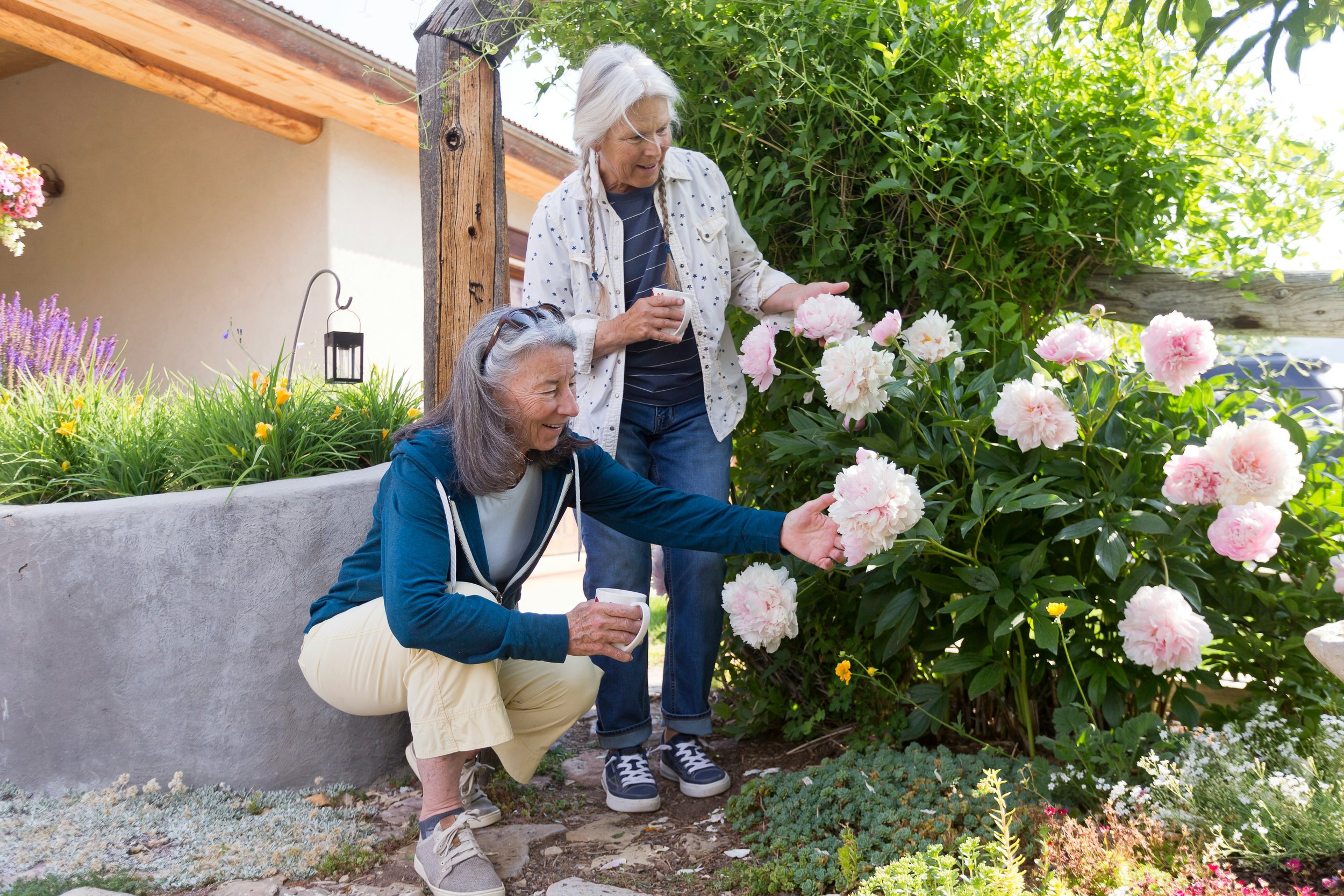 Two elderly women with gray hair in a garden filled with pink peonies and other flowers, one sitting and the other standing, smiling and holding cups, in a sunny outdoor setting near a house with wooden accents.