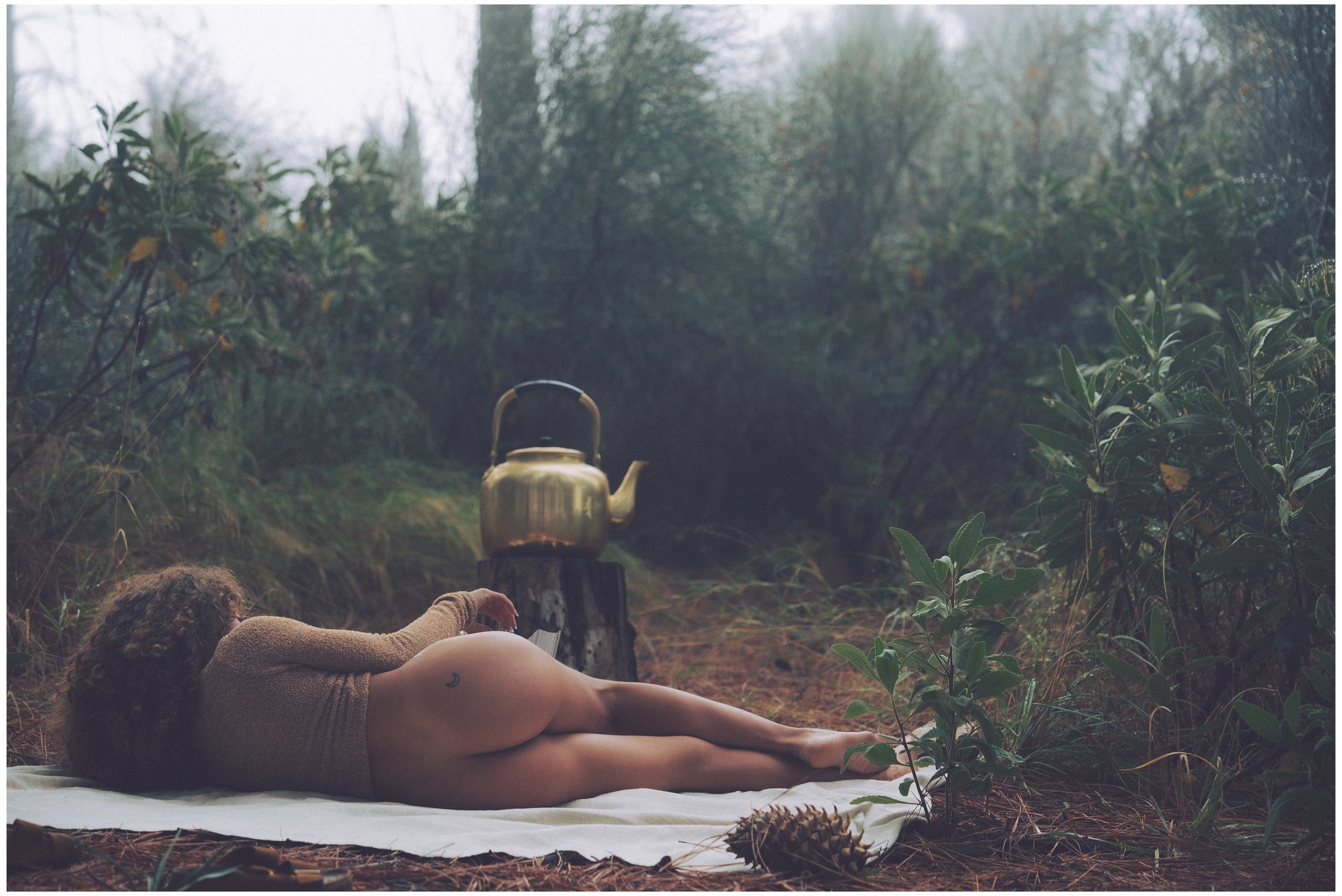 DSC00297 Roofpop Vol1 Straightened small frame.jpg