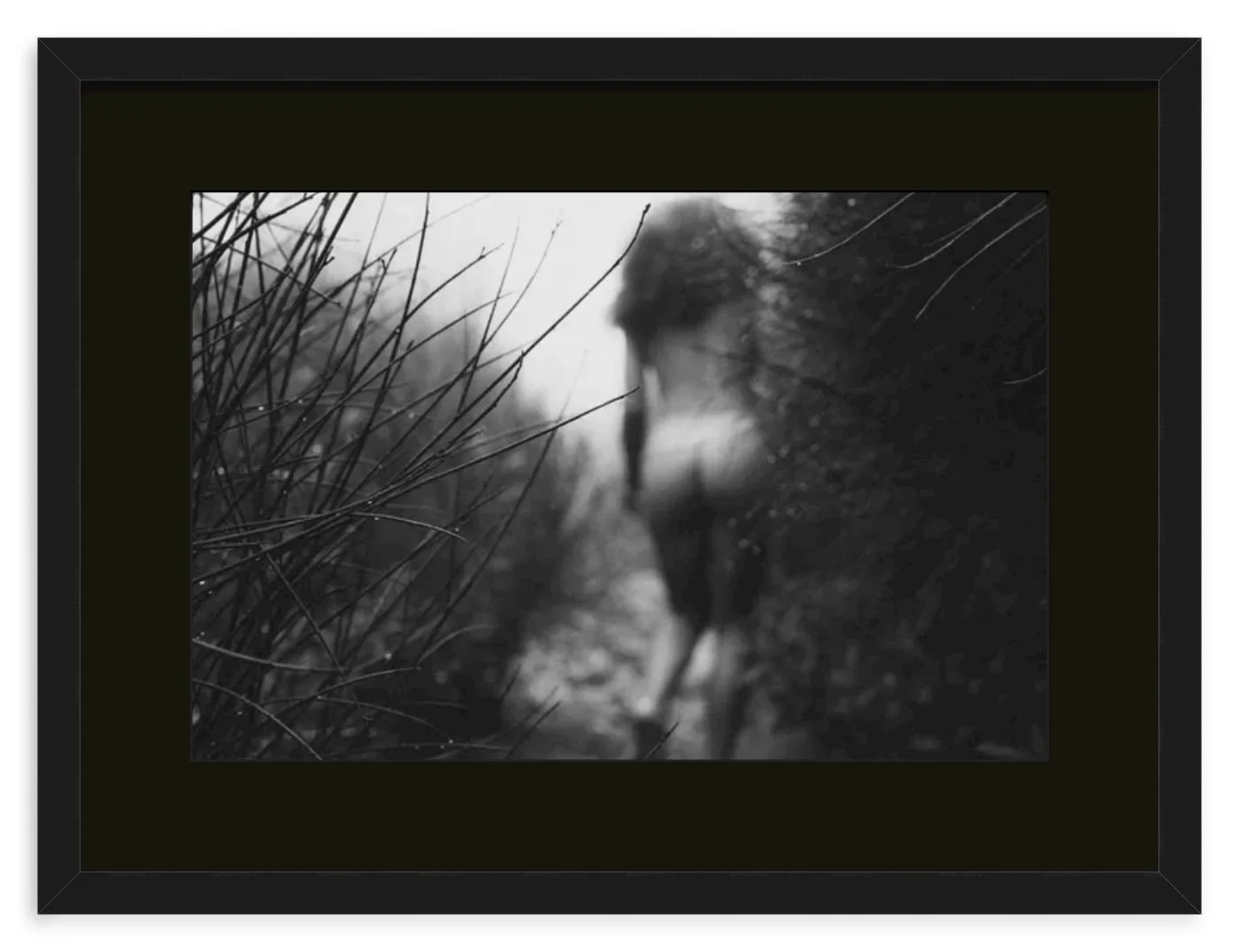 Follow Me Black.jpg