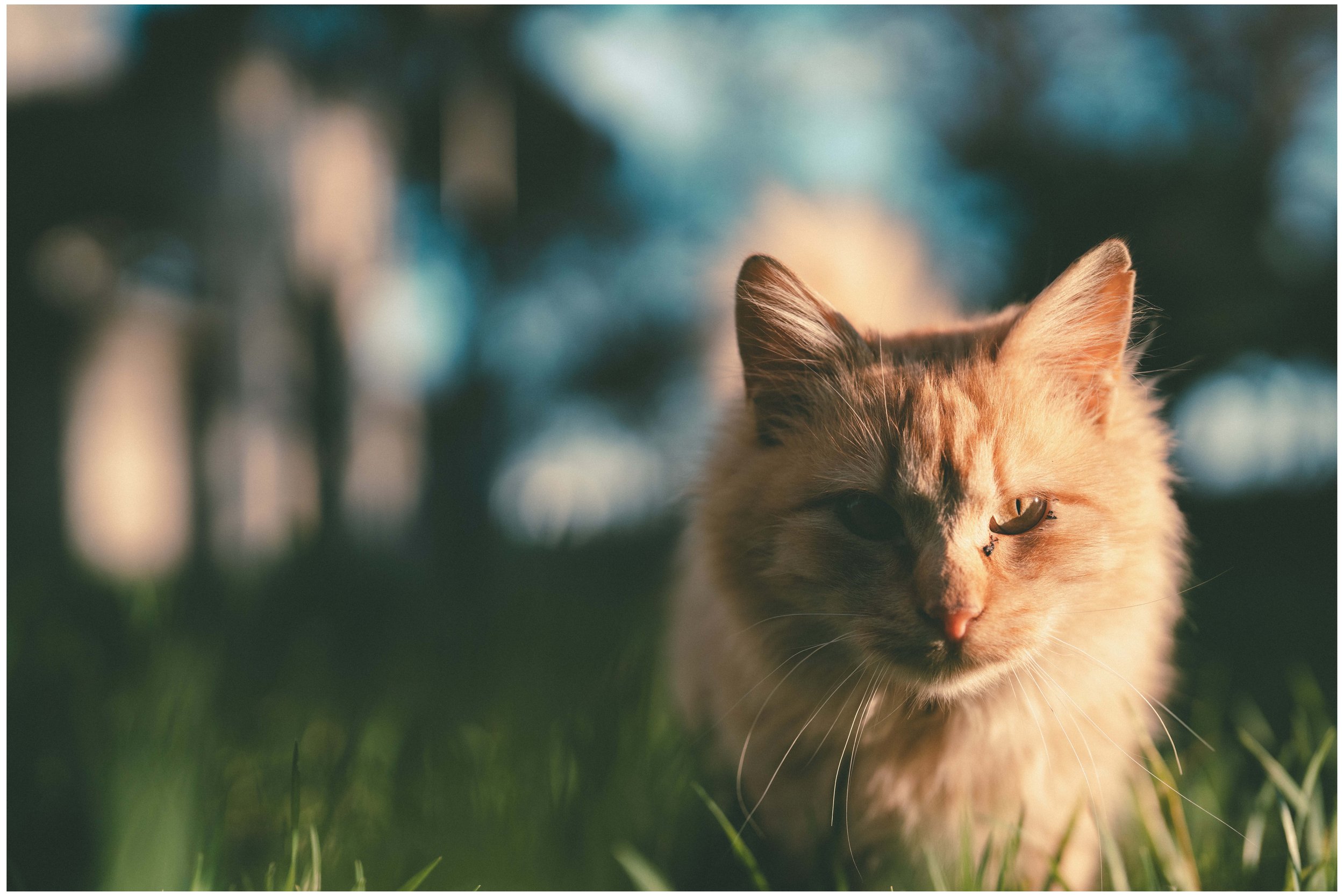 DSC05949 small frame.jpg