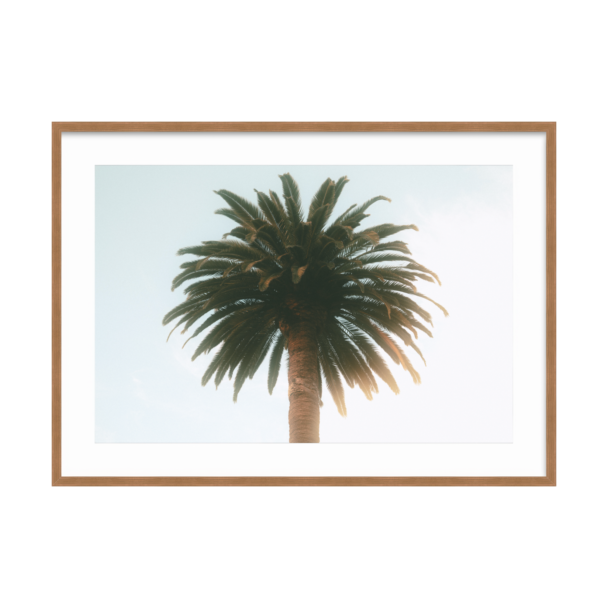 DSC03152 - 2000x2000px - Color.png