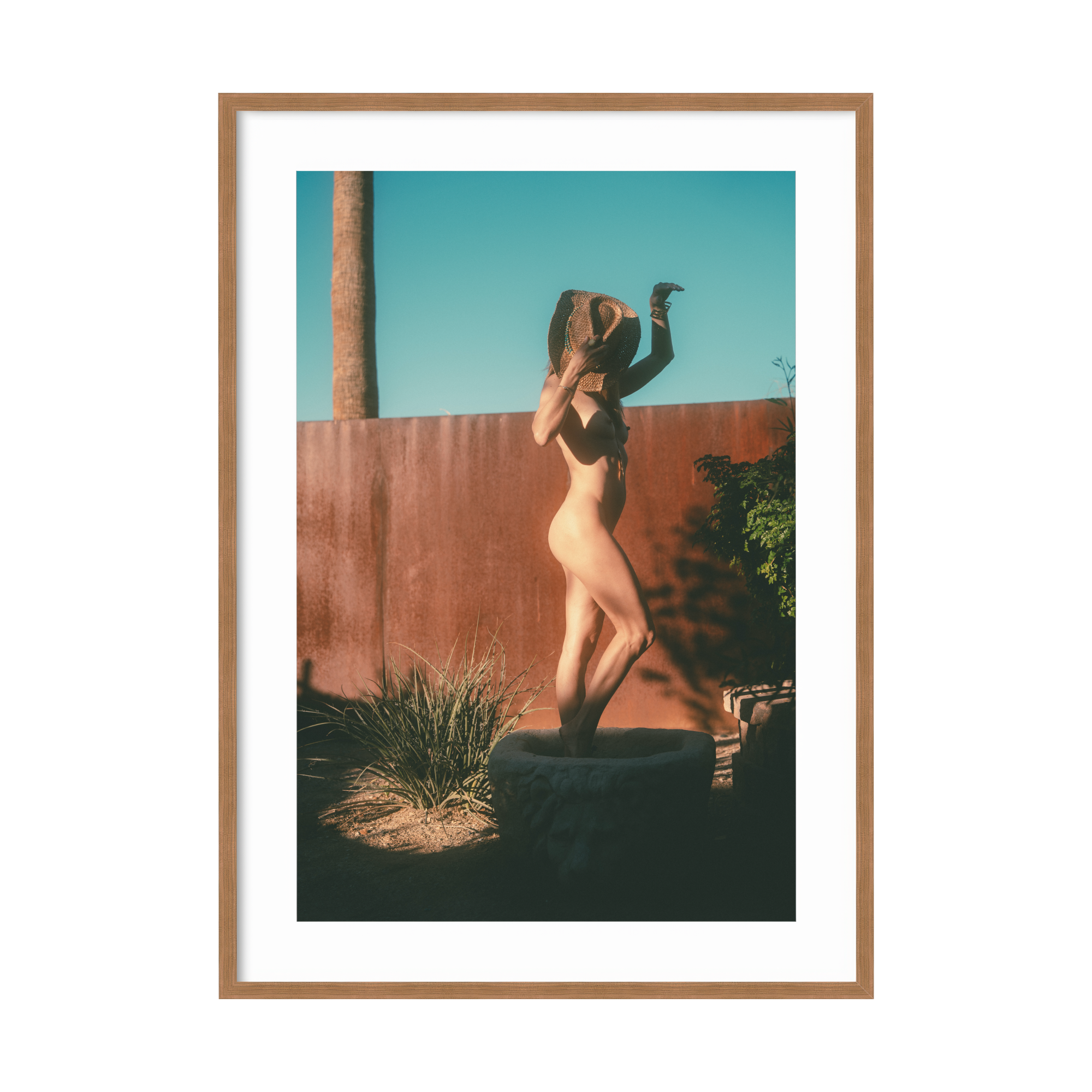 DSC04196 - 2000x2000px - Color.png