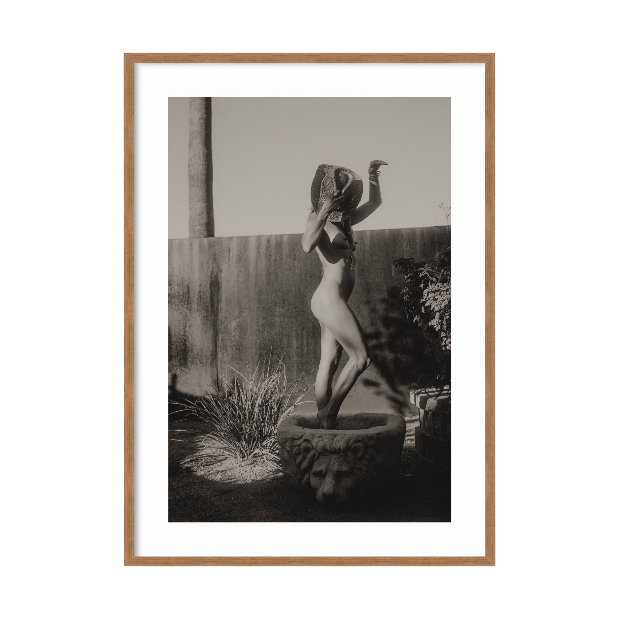 DSC04196 - 2000x2000px - BW.png