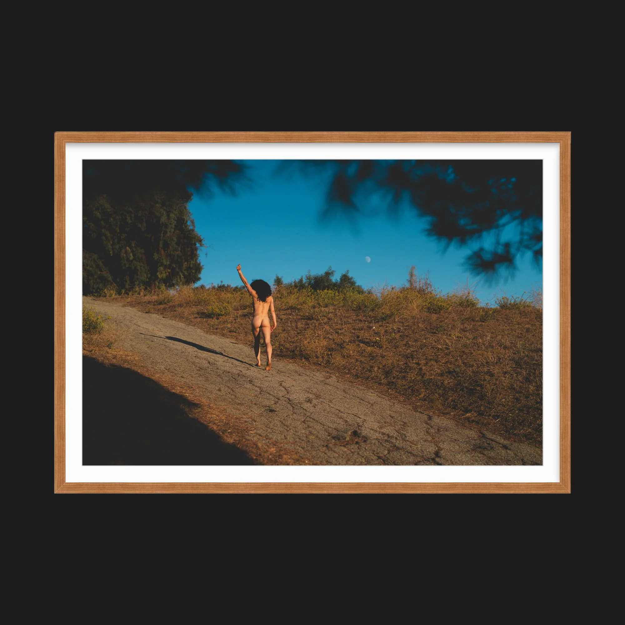 Moonshine - 2000x2000 Pixel Square - 1474 x 982 Image.jpg