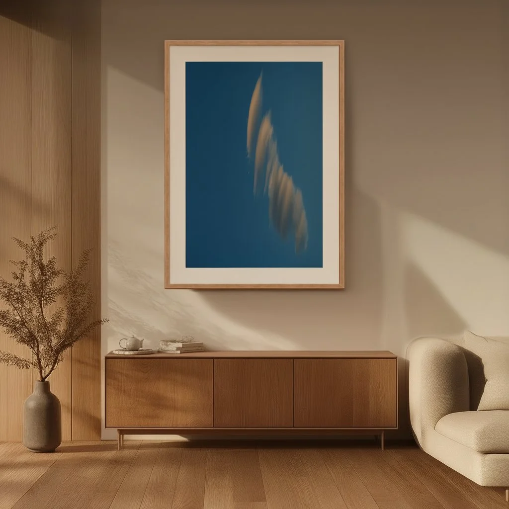 3 - DSC07095 - Light - Harmonized.jpg