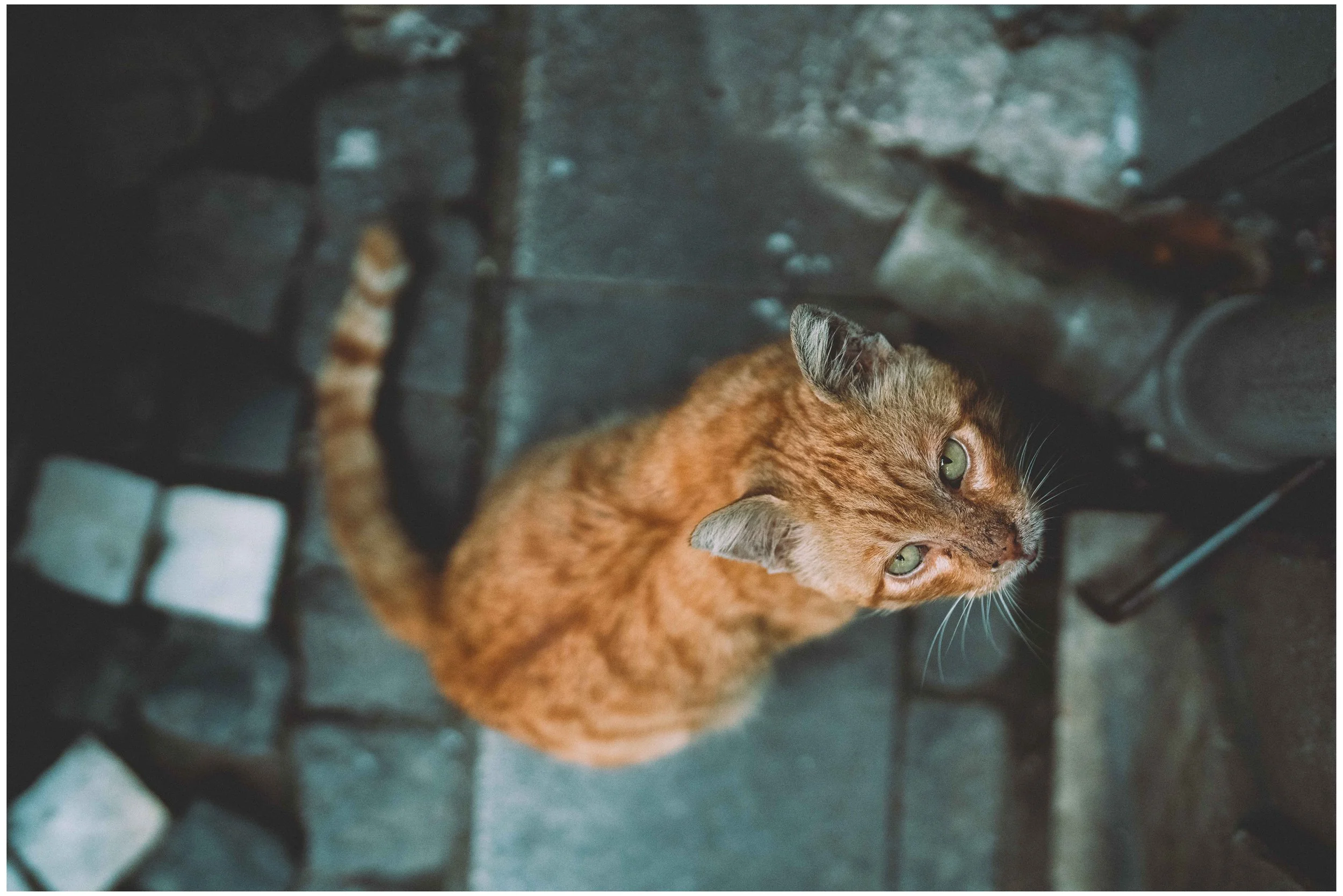 DSC05871 small frame.jpg