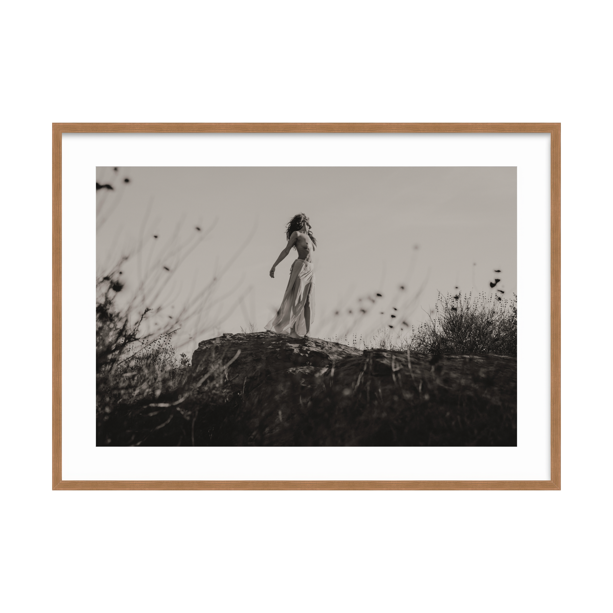 DSC06455 - 2000x2000px - BW.png