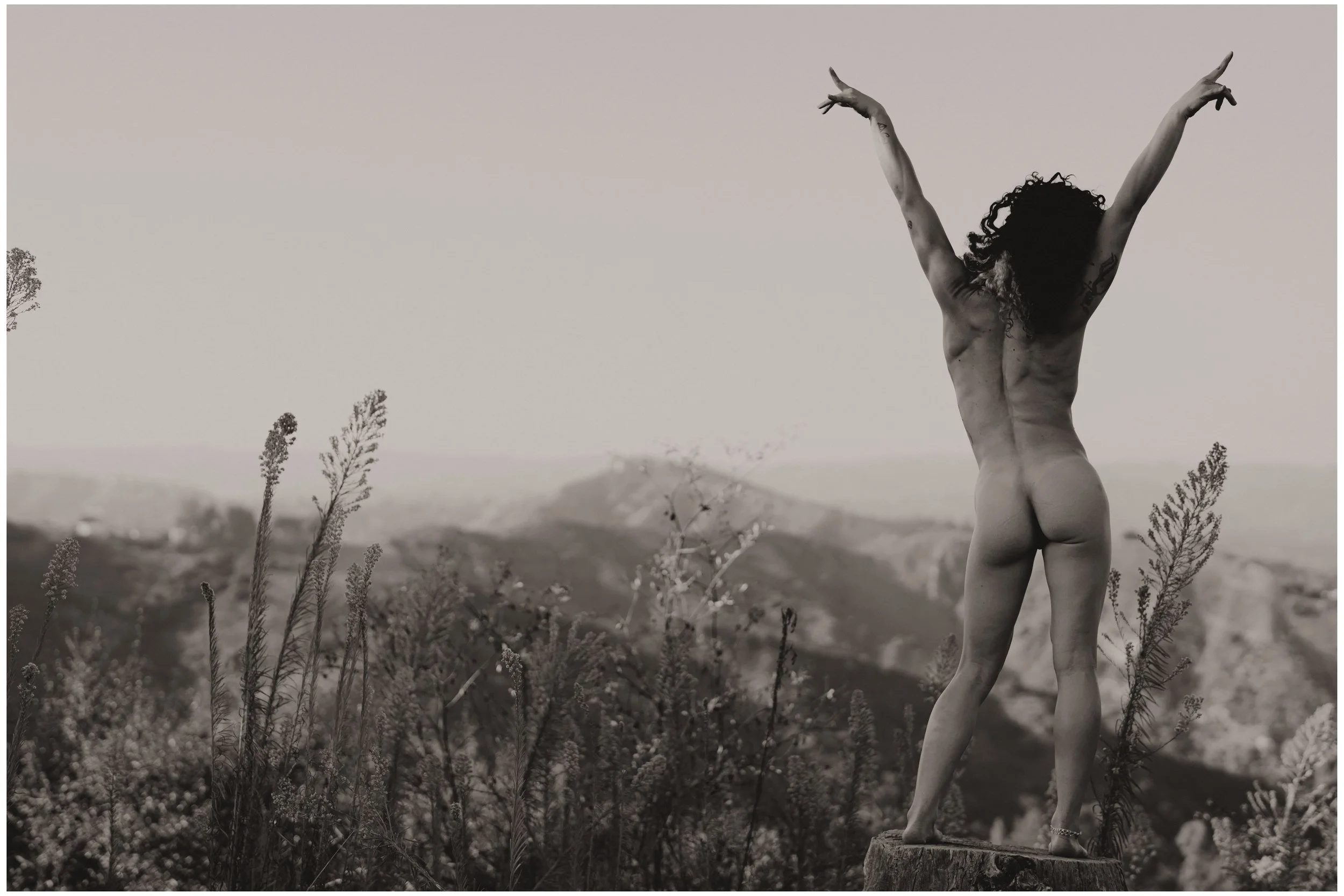 DSC03647 KB_N7 small frame.jpg