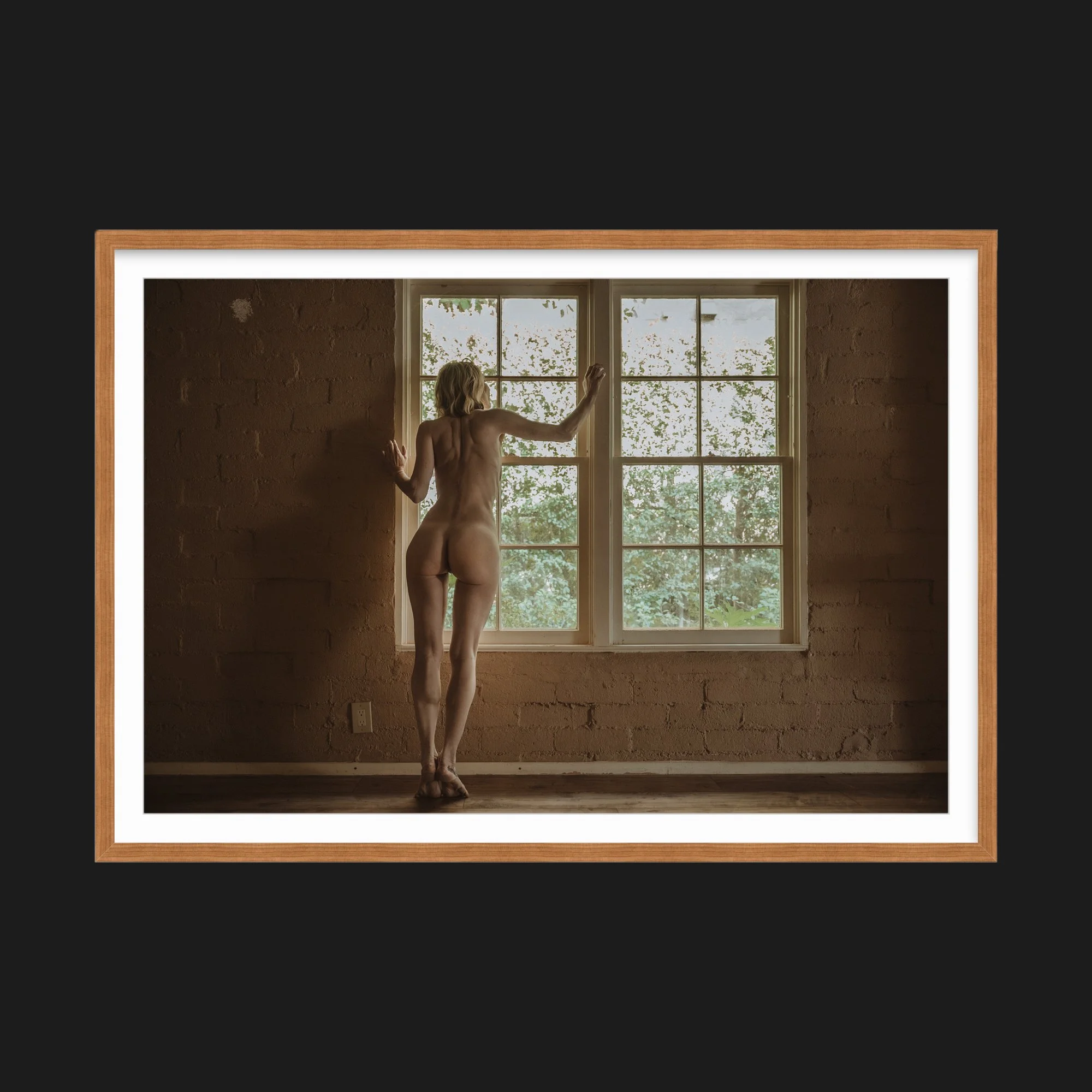 DSC02426 - 2000x2000 Pixel Square - 1474 x 982 Image.jpg