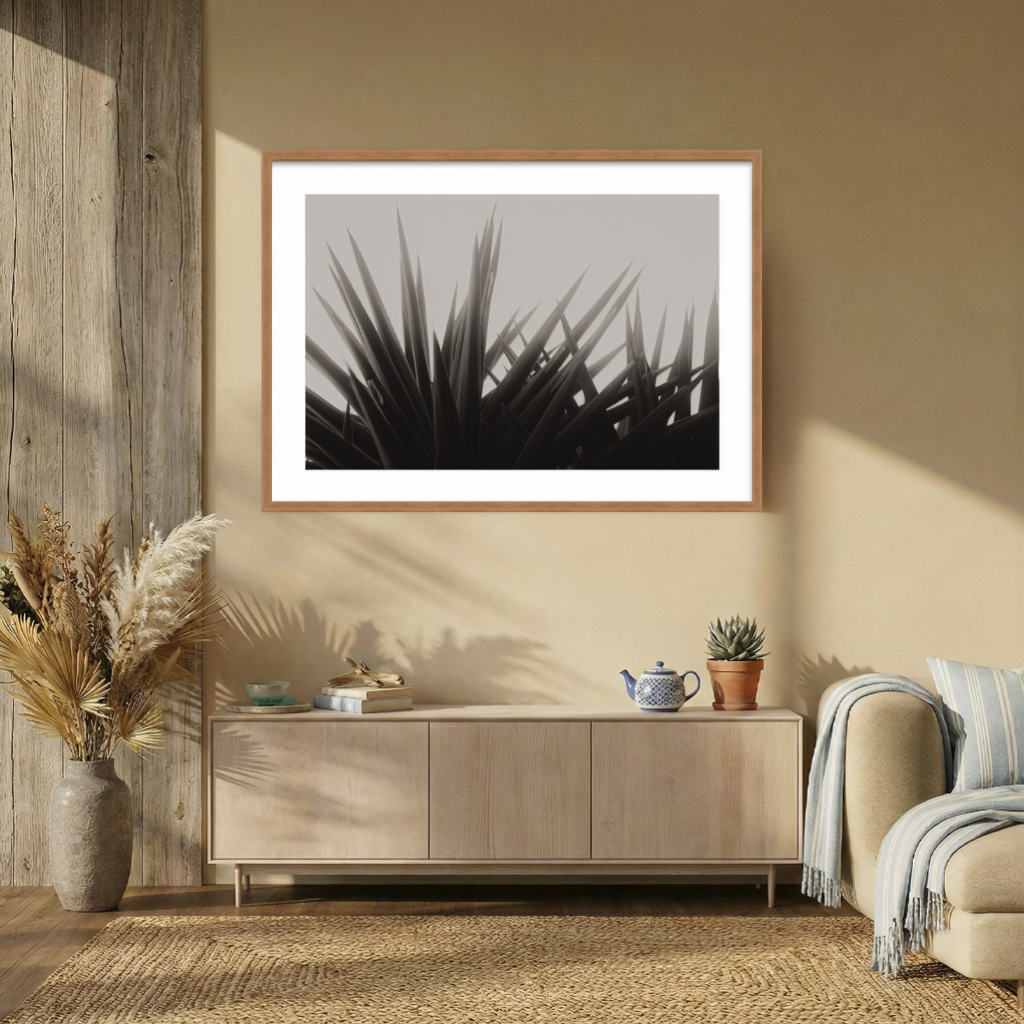 DSC03161 - 1024x1024px - Shizen Room - BW.png