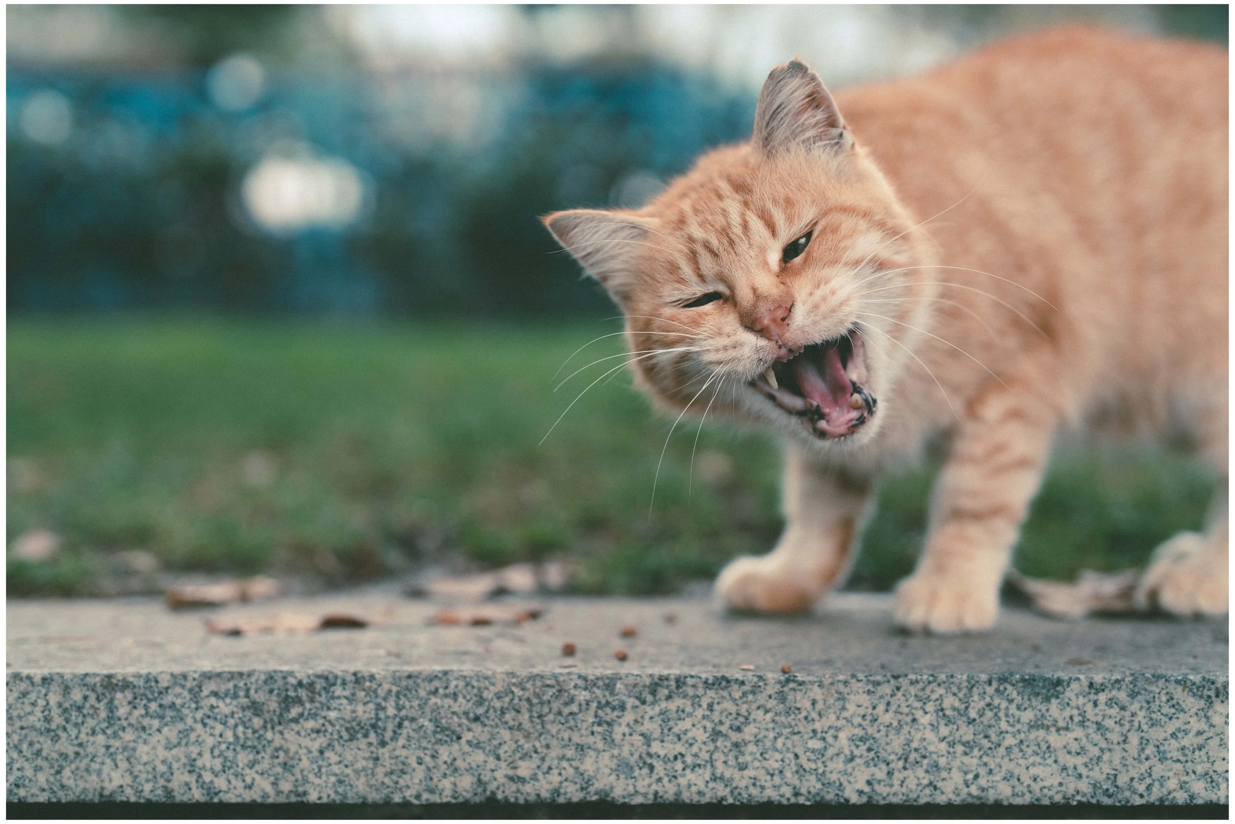 DSC05257 small frame.jpg