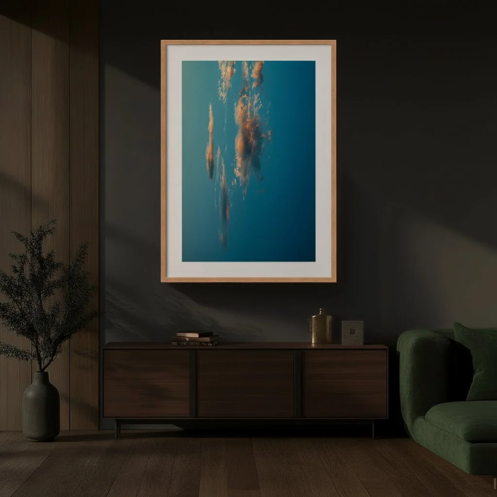 4 - DSC08866 - Dark - Harmonized.jpg