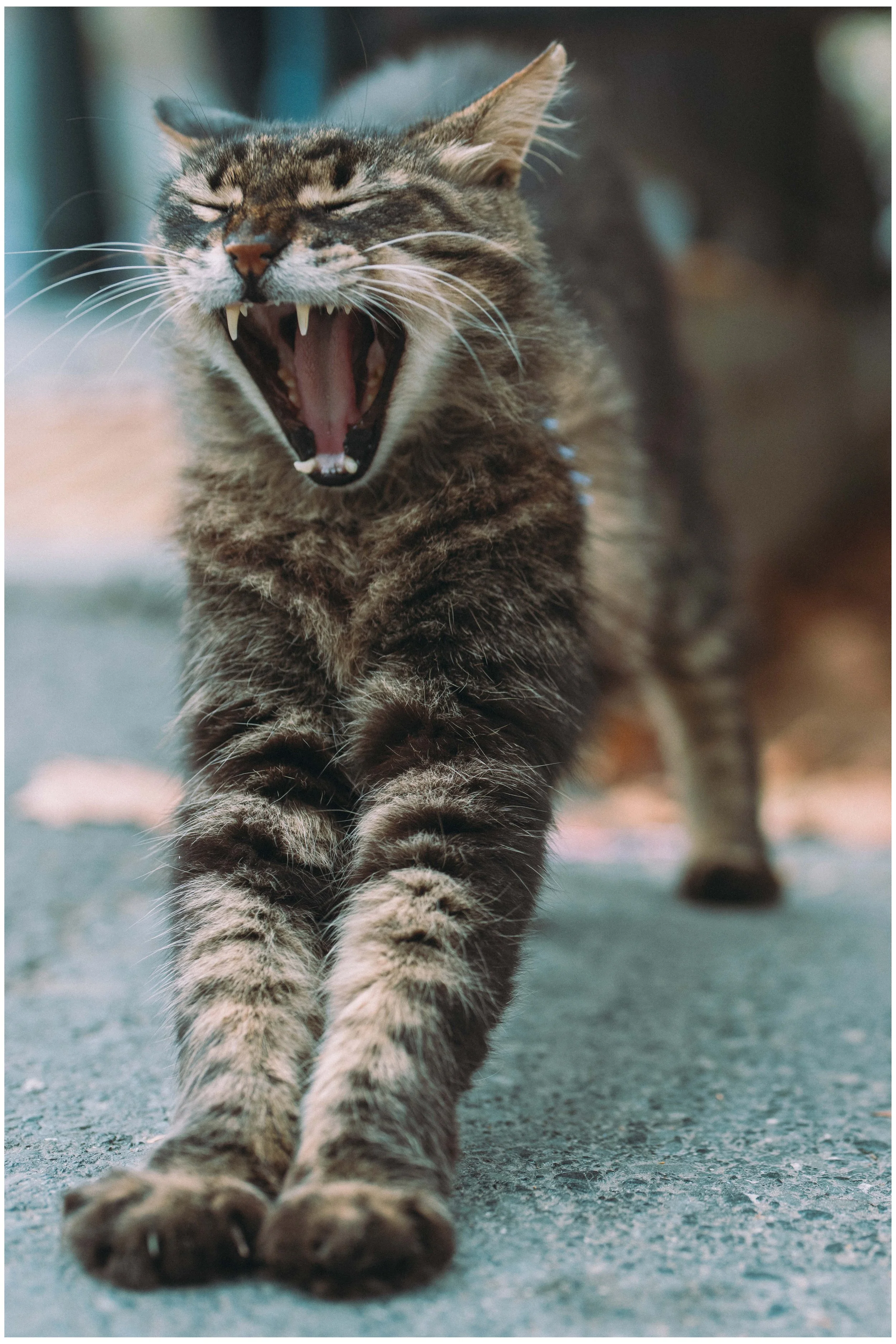 DSC05436 small frame.jpg