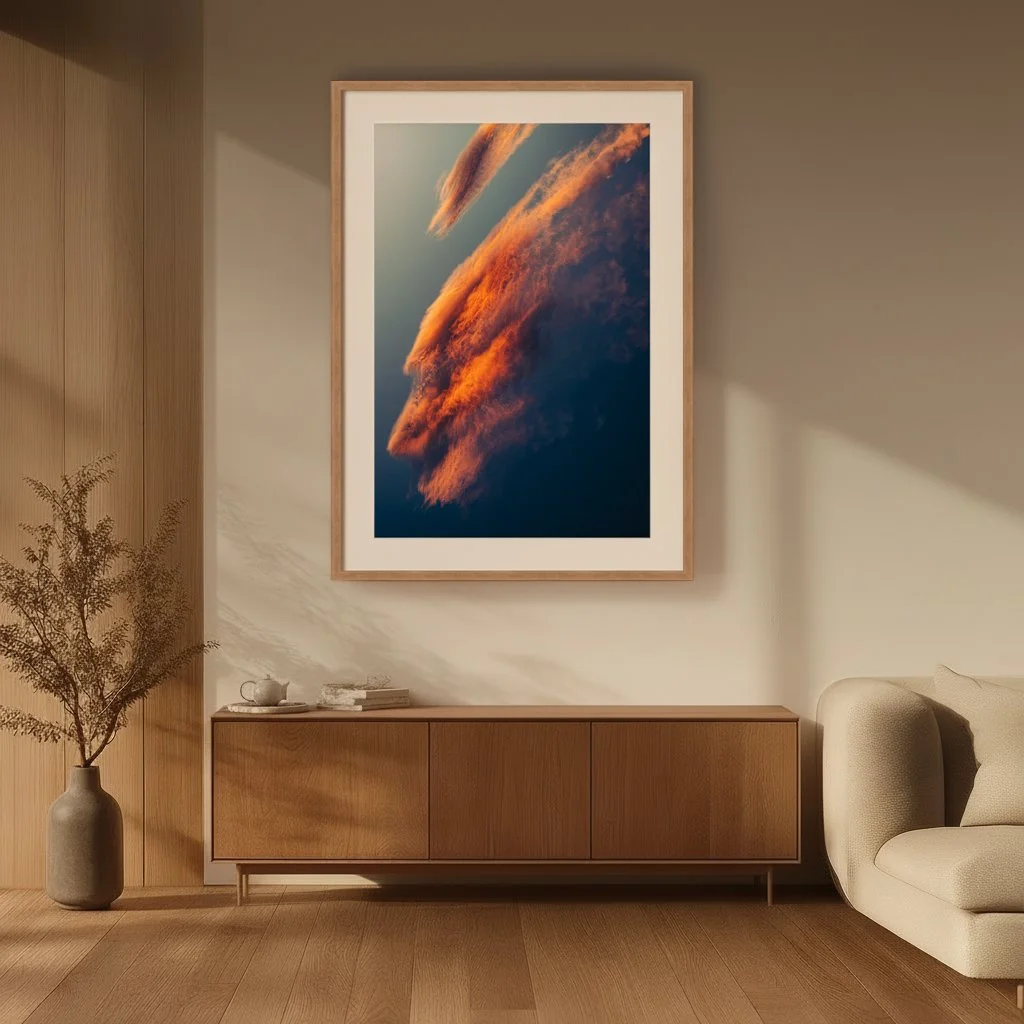 10 - DSC08111 - Light - Harmonized.jpg