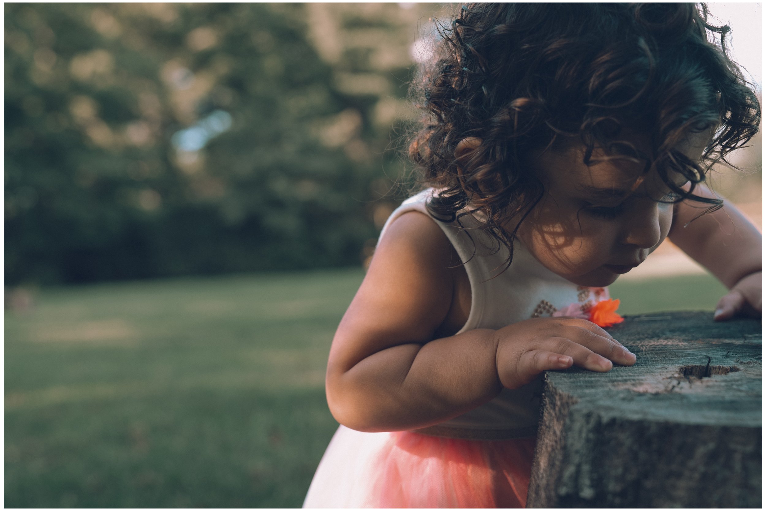 DSC04910 Colorvision Vol1 small frame.jpg