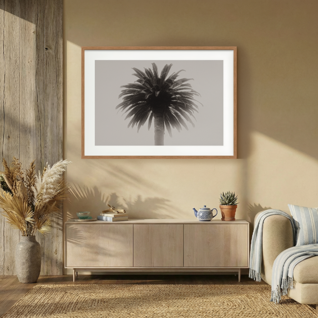 DSC03152 - 1024x1024px - Shizen Room - BW.png