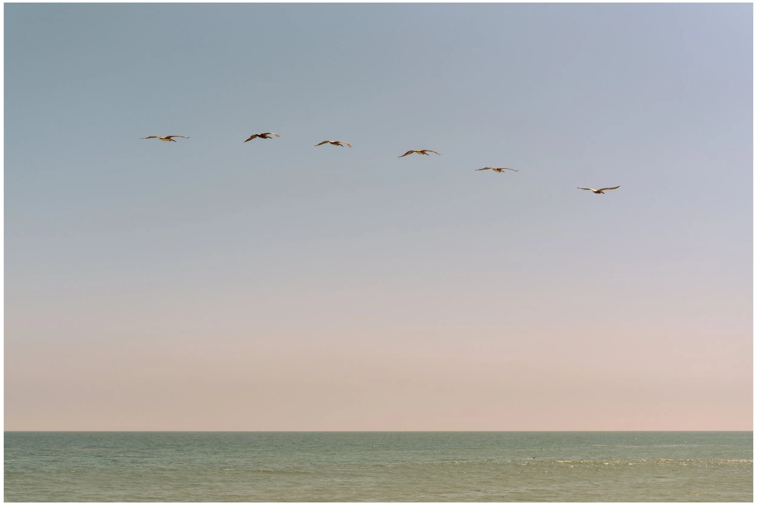 DSC01076 Lucid Dream Auto WB small frame.jpg