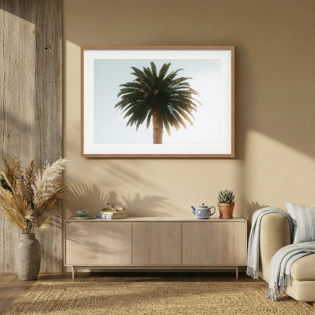 DSC03152 - 1024x1024px - Shizen Room - Color.png