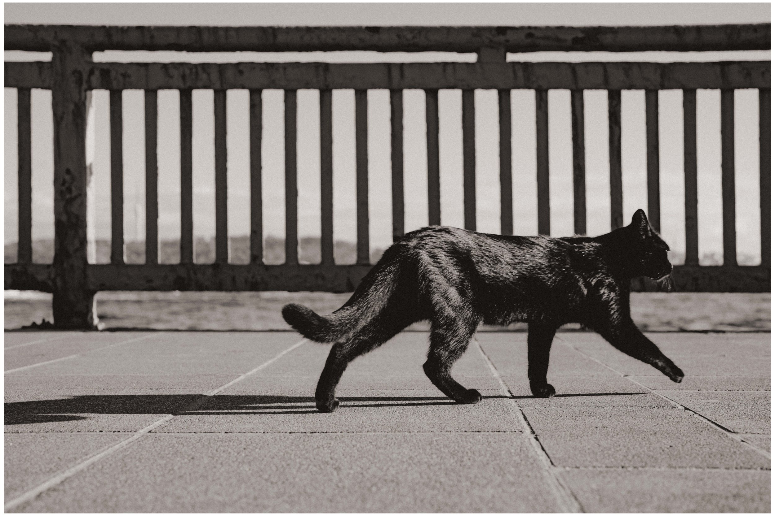 DSC05559 small frame.jpg